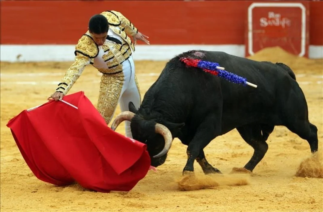 torero 2