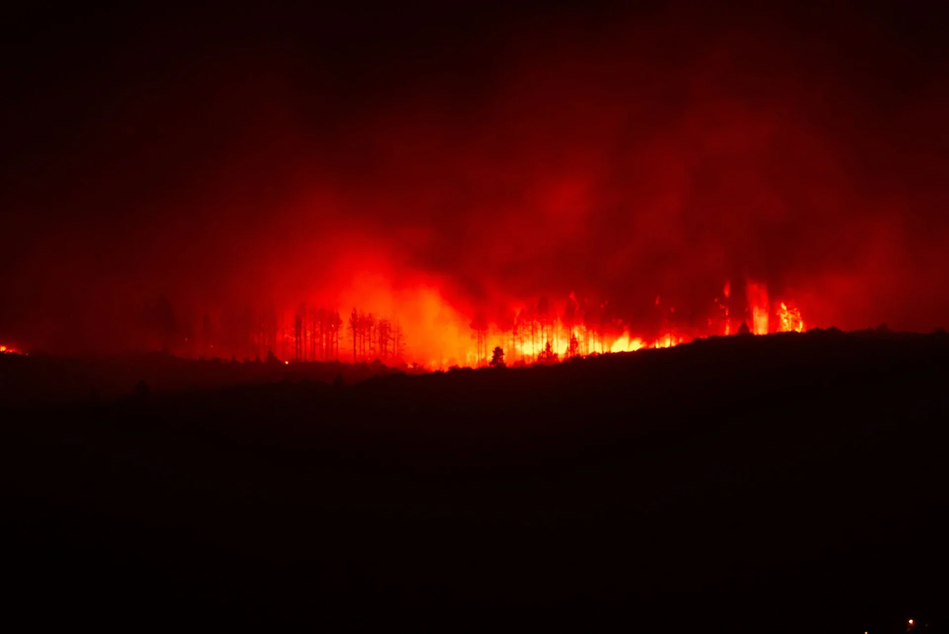 alerta-maxima-gran-canaria-calor-incendi-portada alerta máxima Gran Canaria