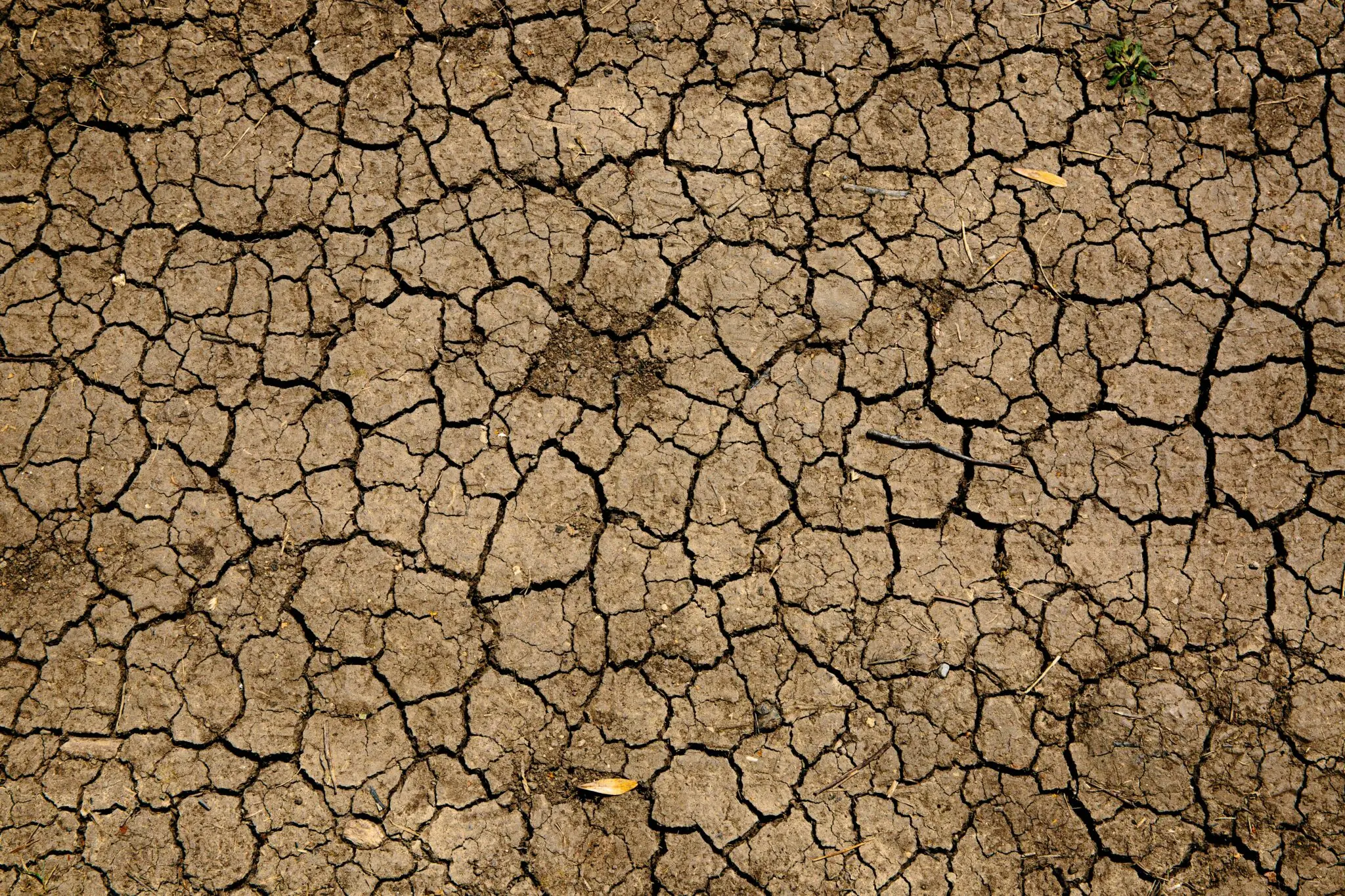 EE.UU. presenta un plan de 10 años para la crisis de agua del río Colorado con recortes del 40% 1 Moncloa recortes agua California