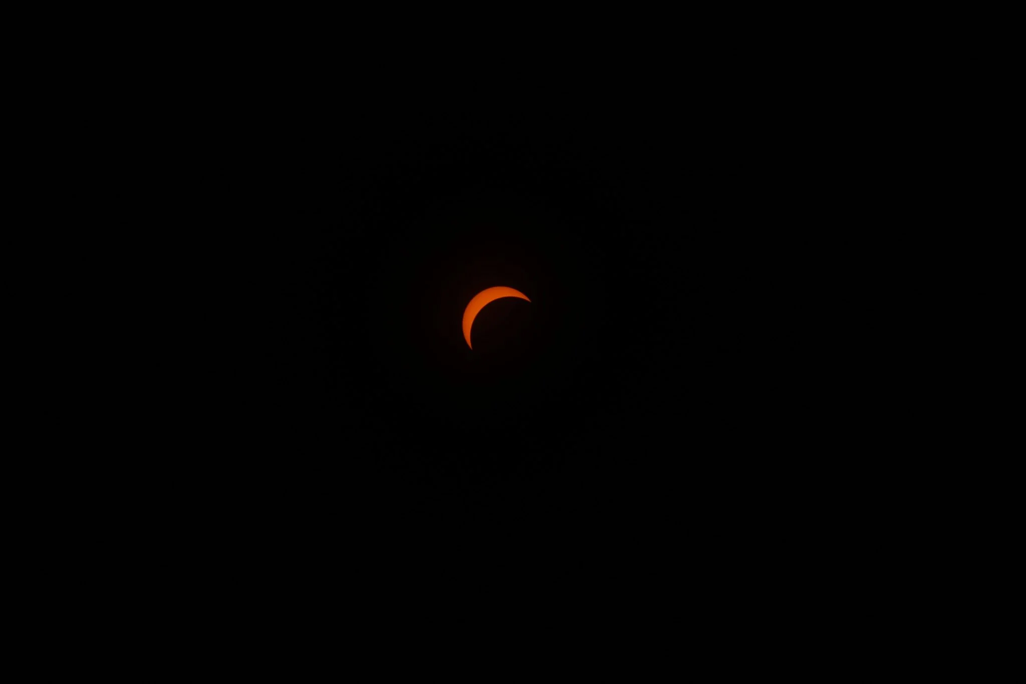 eclipse-solar-galicia-aves-seo-birdlife-portada eclipse solar Galicia