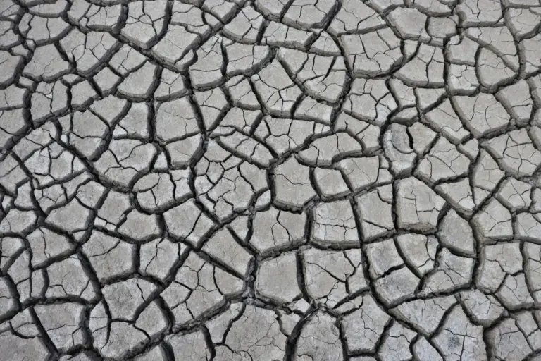 El Niño cambio climático: la quema de fósiles lo amplifica y amenaza a 50 millones con hambre aguda