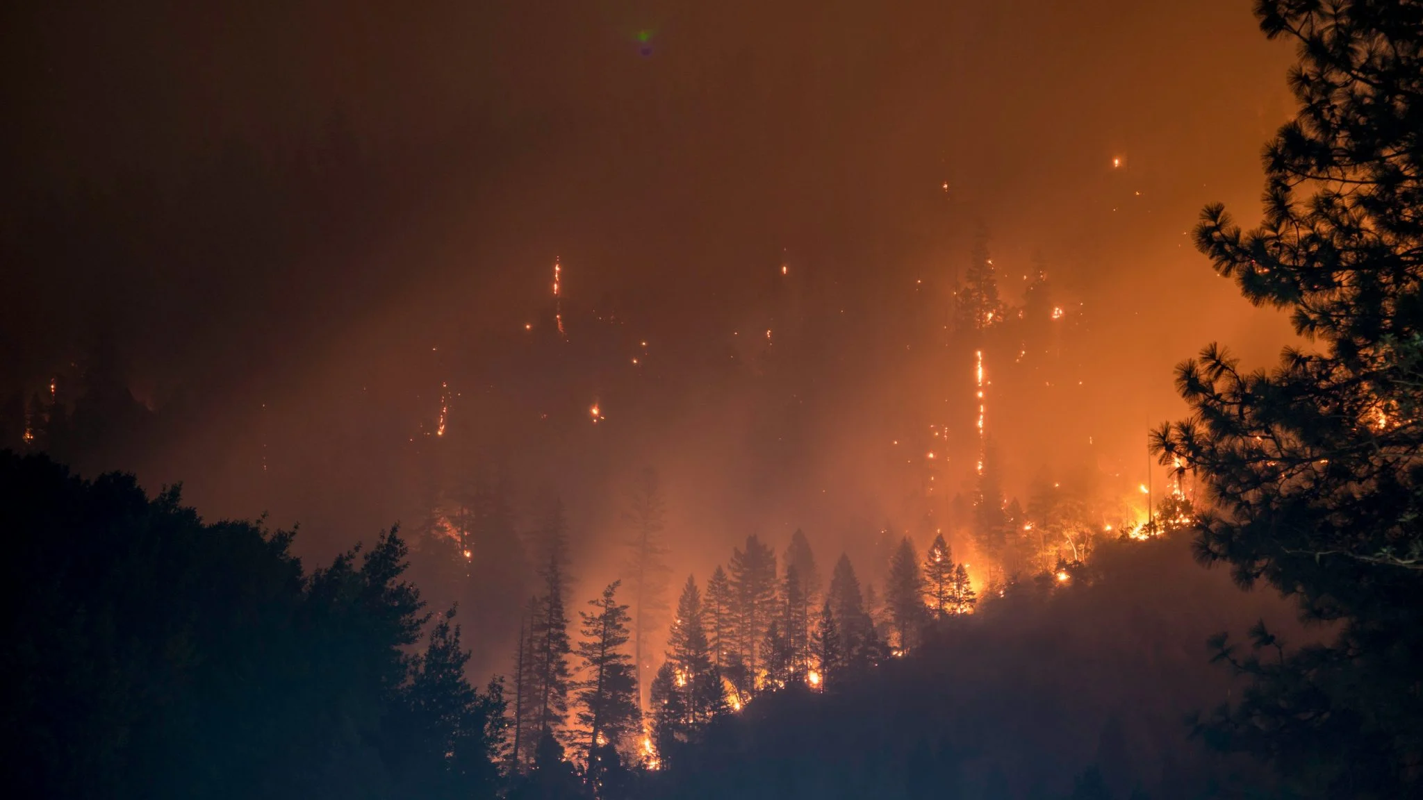 Greenpeace reclama 1.000 millones anuales en prevención incendios forestales España para frenar megaincendios 1 Moncloa megaincendios 2026