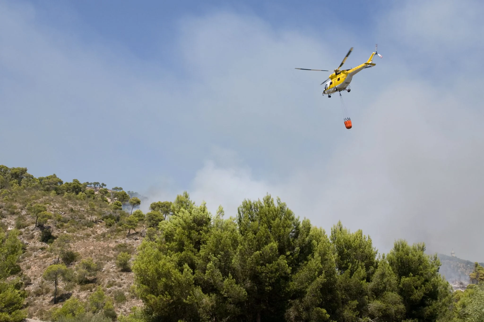 Incendio de Los Gallardos (Almería): un mes después, 14 fallecidos y 5.200 hectáreas quemadas; afectados reclaman ayudas 1 Moncloa incendio Almería