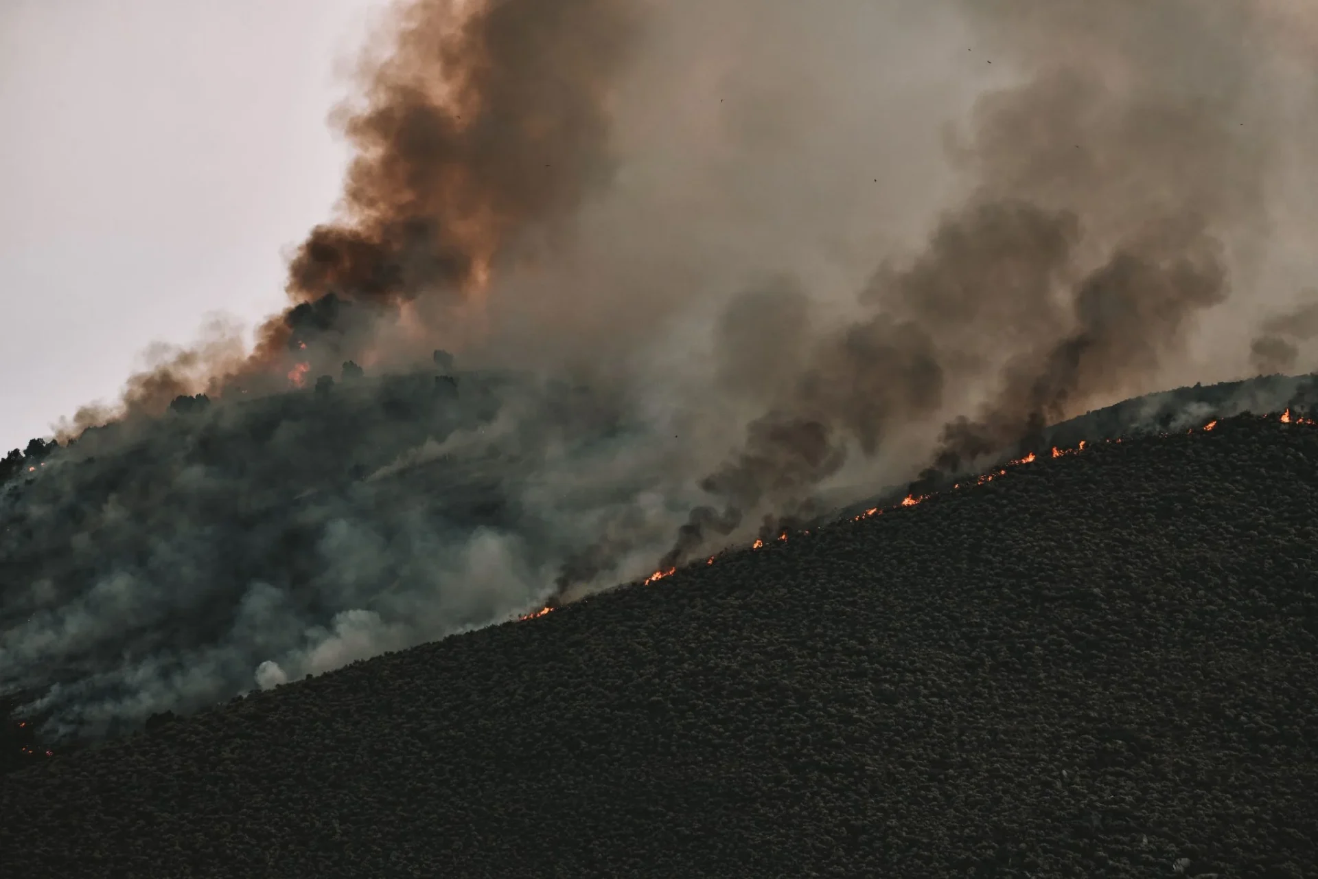 incendios-sur-libano-bomberos-acusan-isr-portada incendios sur de Líbano