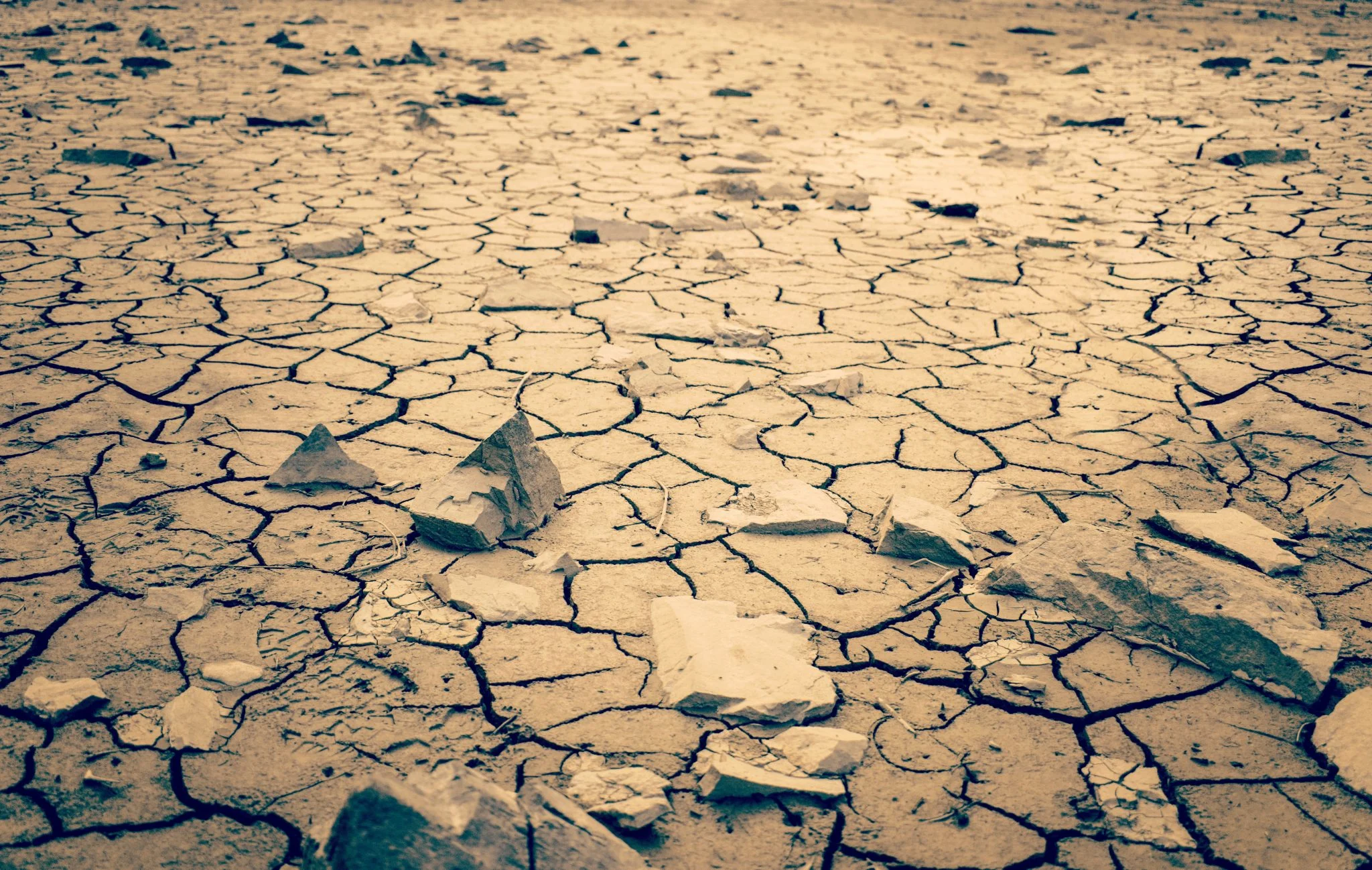 Mar de Aral: Reinundar el lecho evitaría 605 millones de toneladas de CO2, según científicos 1 Moncloa créditos de carbono