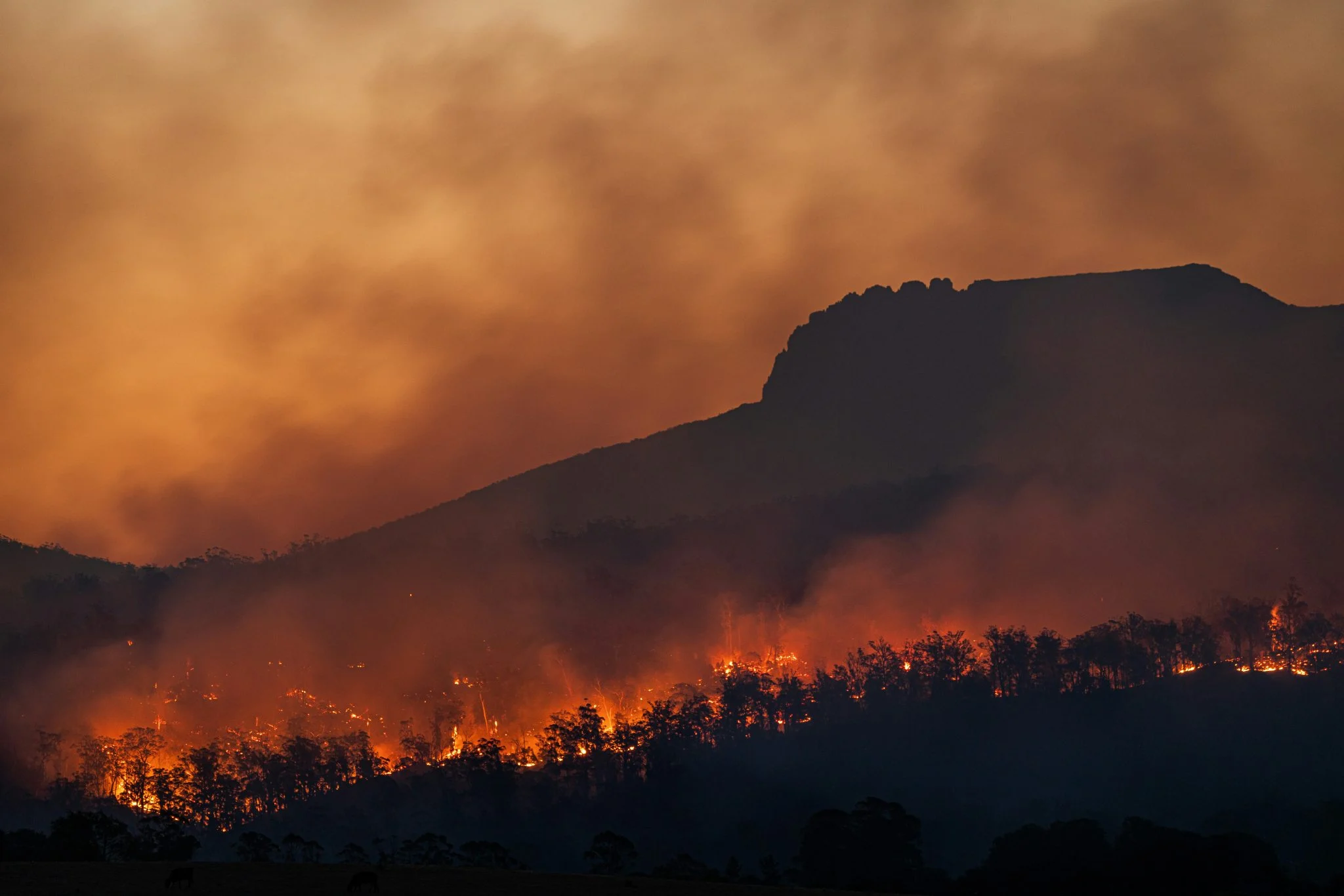 militar-ume-fallecido-incendio-riglos-portada militar UME fallecido incendio Riglos