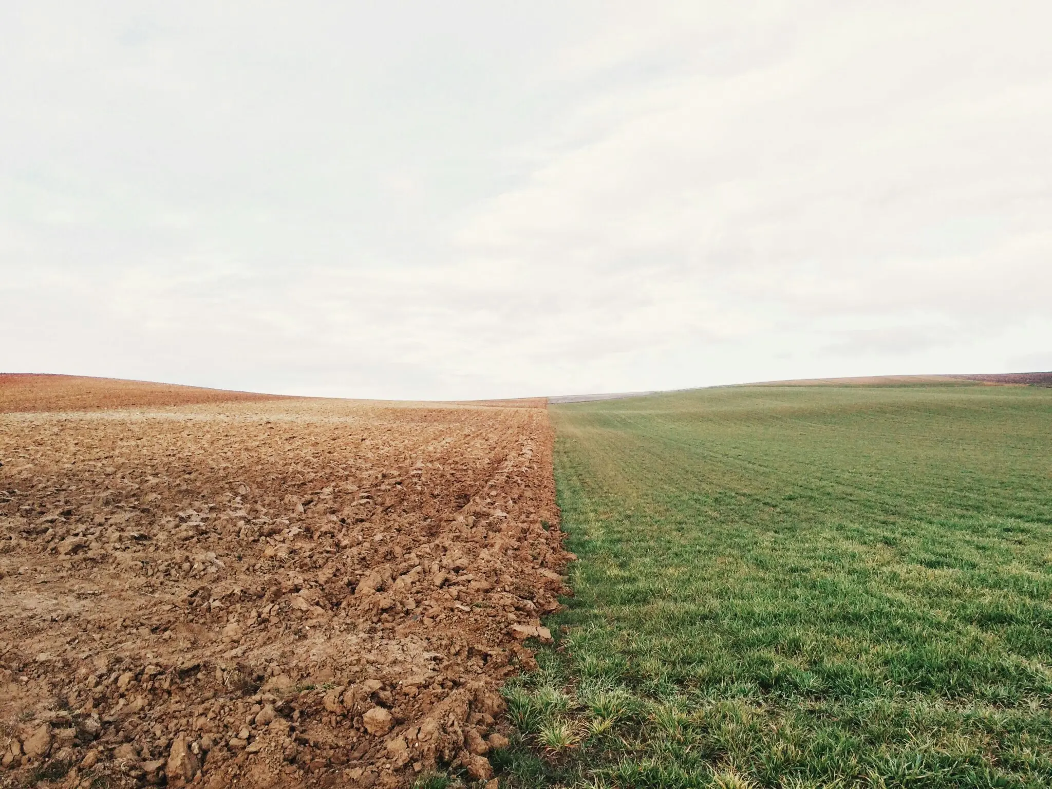 Nestlé invierte 12 millones en agricultura regenerativa con 500 agricultores españoles para descarbonizar su cadena 1 Moncloa Nestlé sostenibilidad España