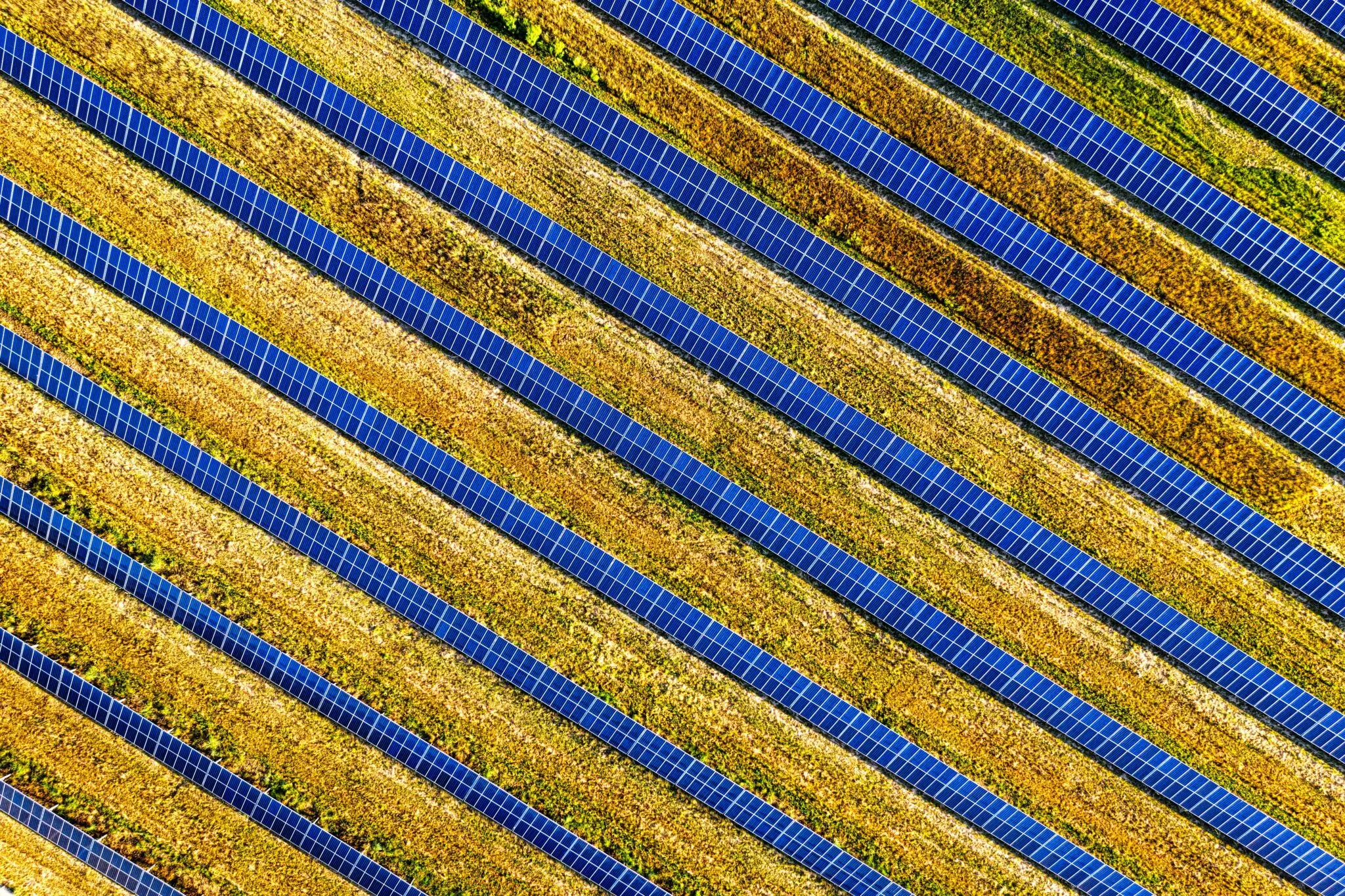 La potencia fotovoltaica de Córdoba es la segunda más baja de Andalucía: los datos que explican la brecha renovable 1 Moncloa energía solar Andalucía