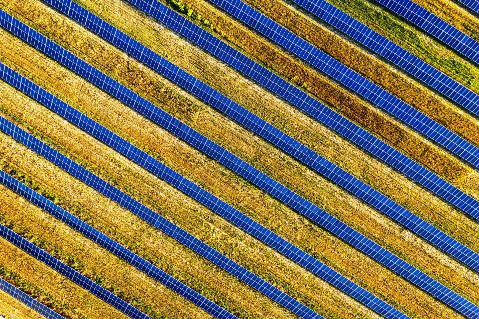 potencia-fotovoltaica-cordoba-renovables-portada potencia fotovoltaica Córdoba