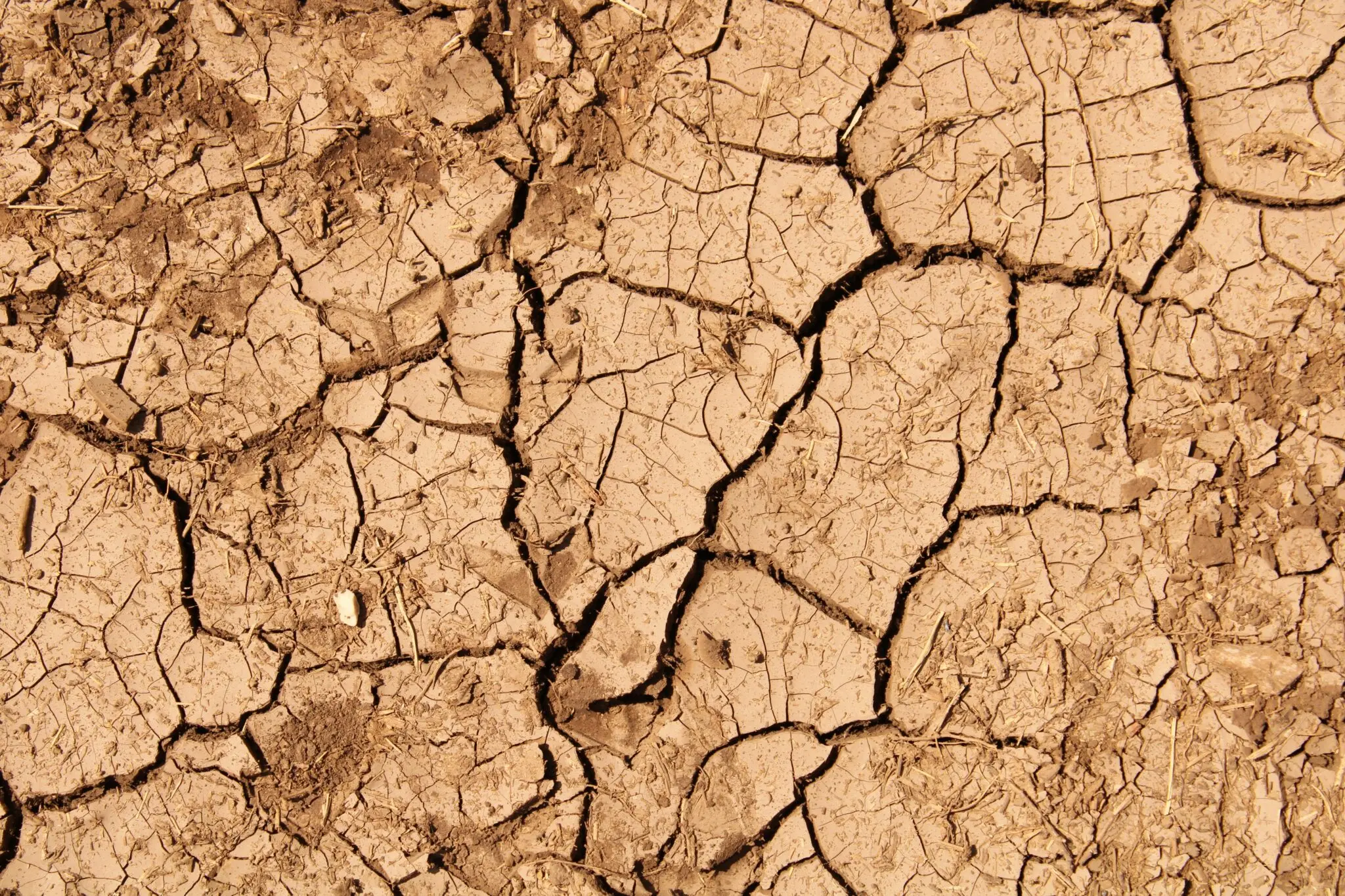 Sequía: el 80% de los concellos gallegos restringen el agua y la COP17 eleva la alerta por desertificación 1 Moncloa restricciones agua Galicia