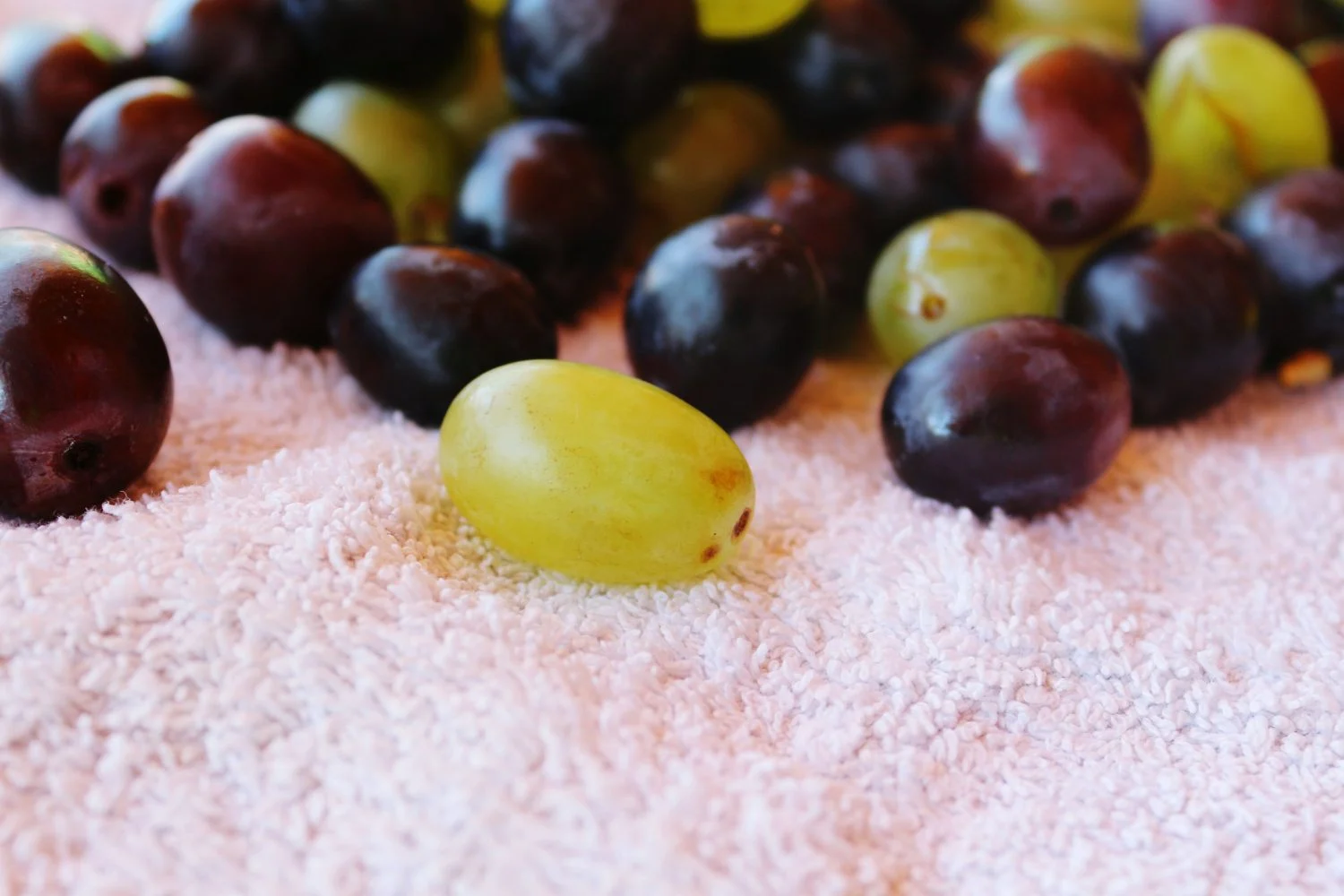 uvas sin semillas
