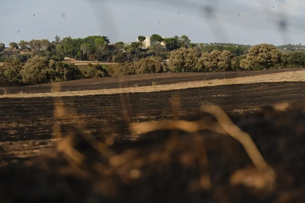 Zona agrícola de Tres Cantos. Foto: Agencias