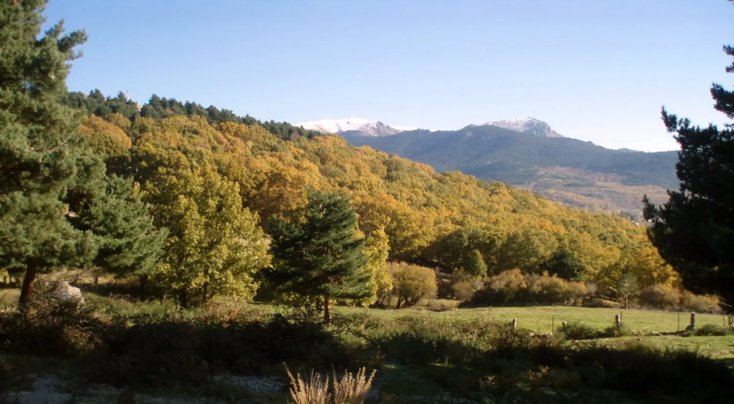 Escapadas a menos de 90 minutos de Madrid: cuatro rutas frescas por la Sierra del Rincón y Guadarrama Escapadas a menos de 90 minutos de Madrid: cuatro rutas frescas por la Sierra del Rincón y Guadarrama
