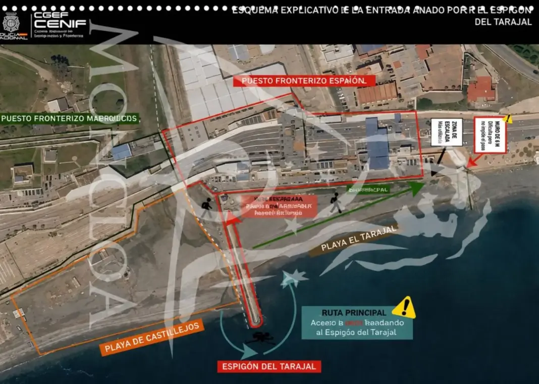 WhatsApp Image 2026-09-02 at 19.17.19 WhatsApp Image 2026 09 02 at 19.17.19 Moncloa