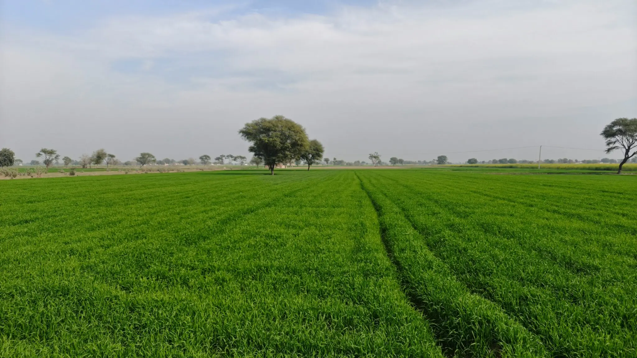 El MITECO abre consulta pública de 8,5 millones en ayudas Doñana agricultura sostenible y producción ecológica 1 Moncloa MITECO ayudas Doñana