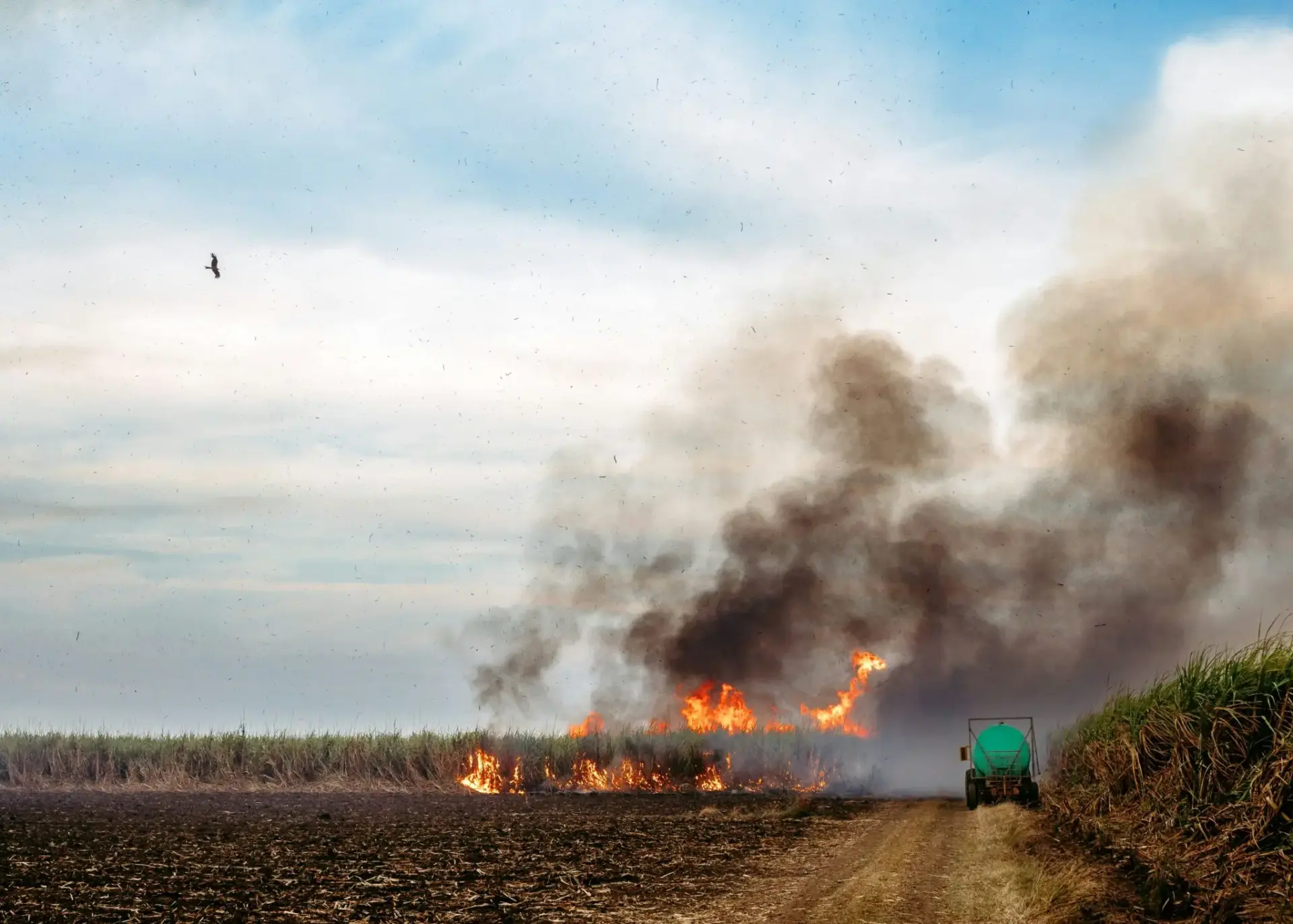 ayudas-incendios-explotaciones-agrarias-portada ayudas incendios explotaciones agrarias
