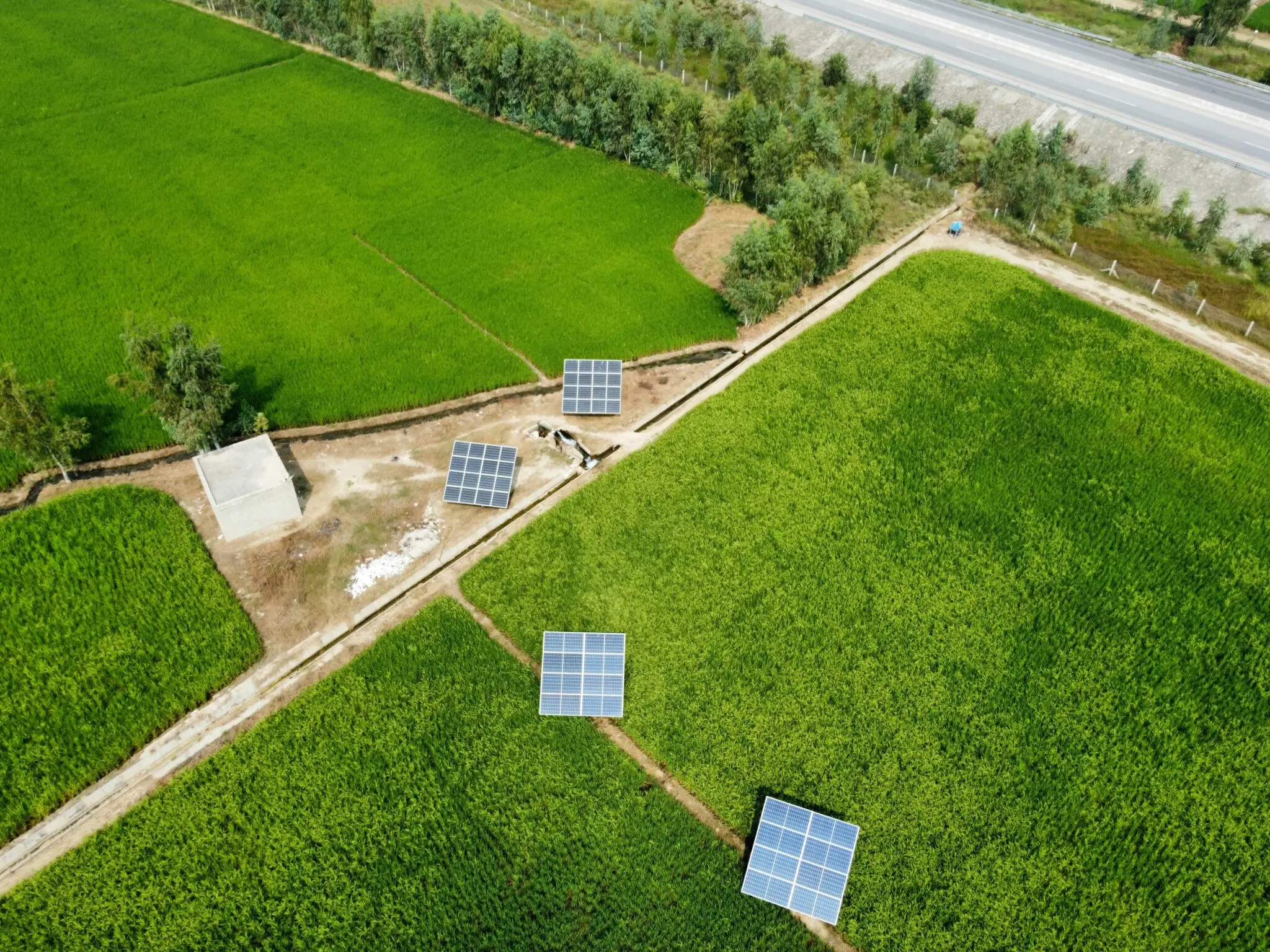 BlueNewables y Naturgy prueban en el Puerto de Valencia el primer demostrador de solar marina de España con 1 MW 1 Moncloa solar flotante marina