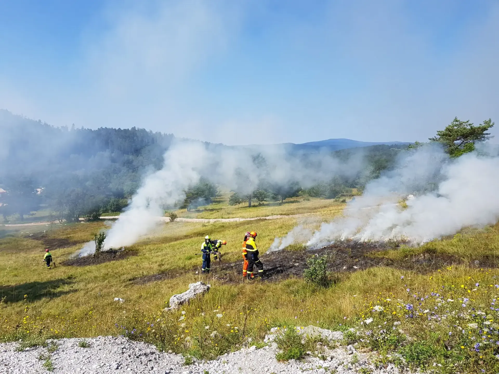 bomberos-forestales-consell-perez-llorca-portada bomberos forestales