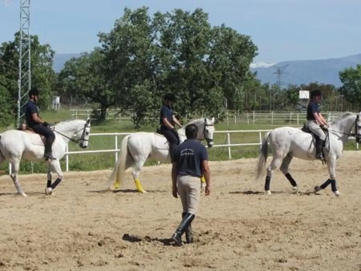 equitacion