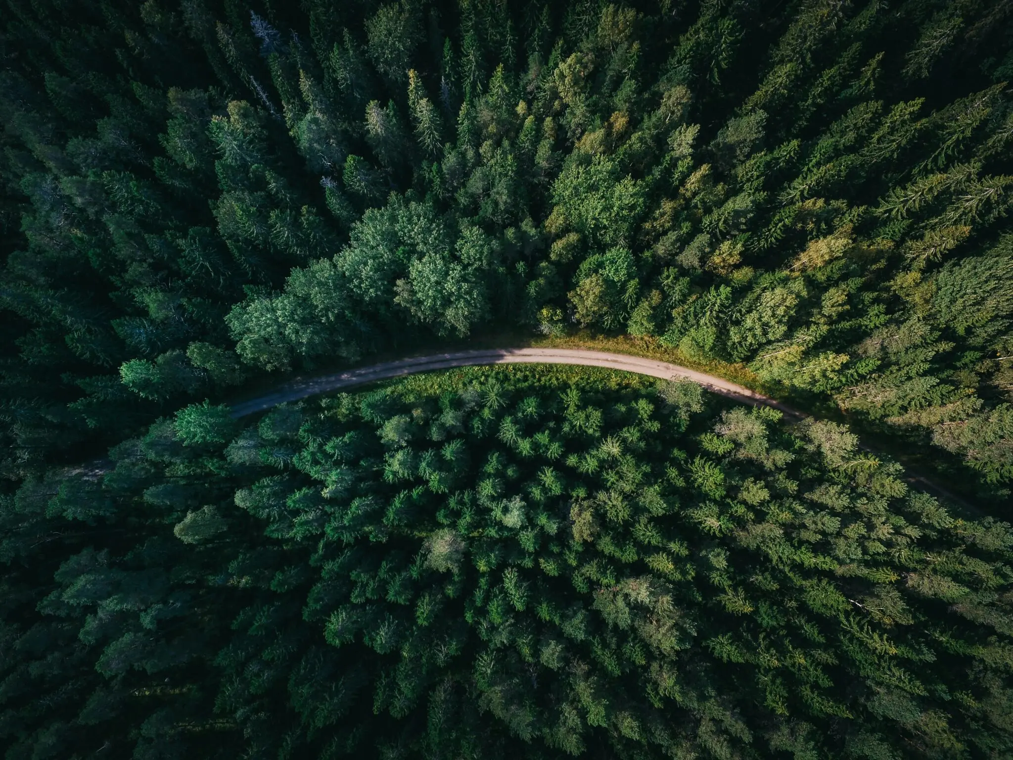 Etiopía moviliza a la ciudadanía para plantar 50.000 millones de árboles con su plan de reforestación 1 Moncloa Green Legacy Initiative