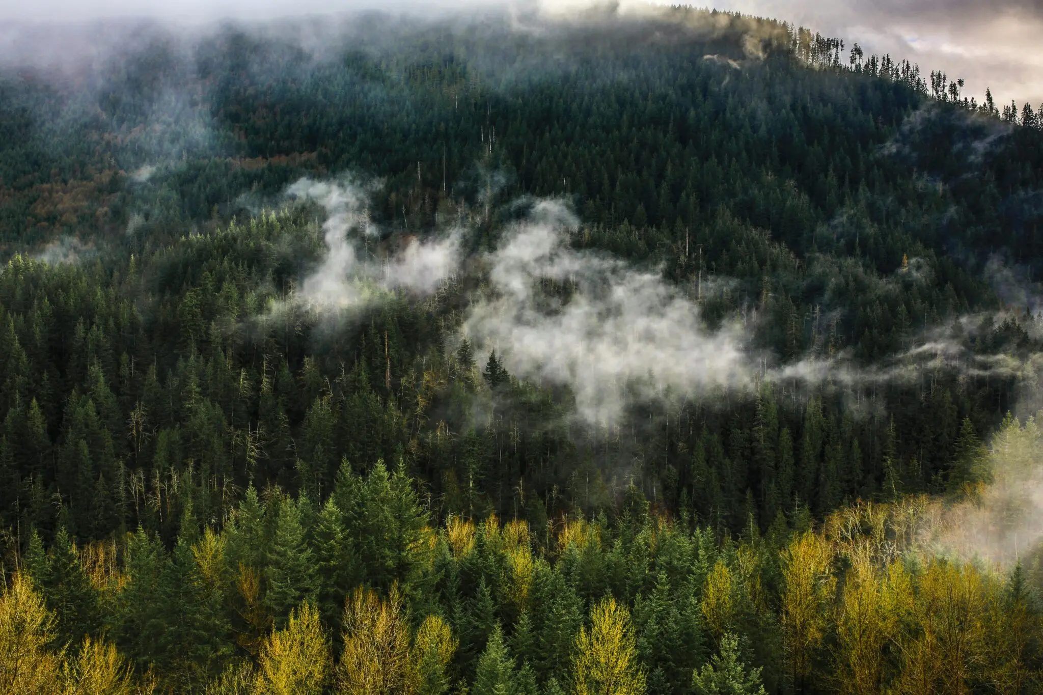 El incendio de Niebla se convierte en el mayor fuego de España desde 1968, según la Asociación Forestal Andaluza 1 Moncloa mayor incendio España 1968