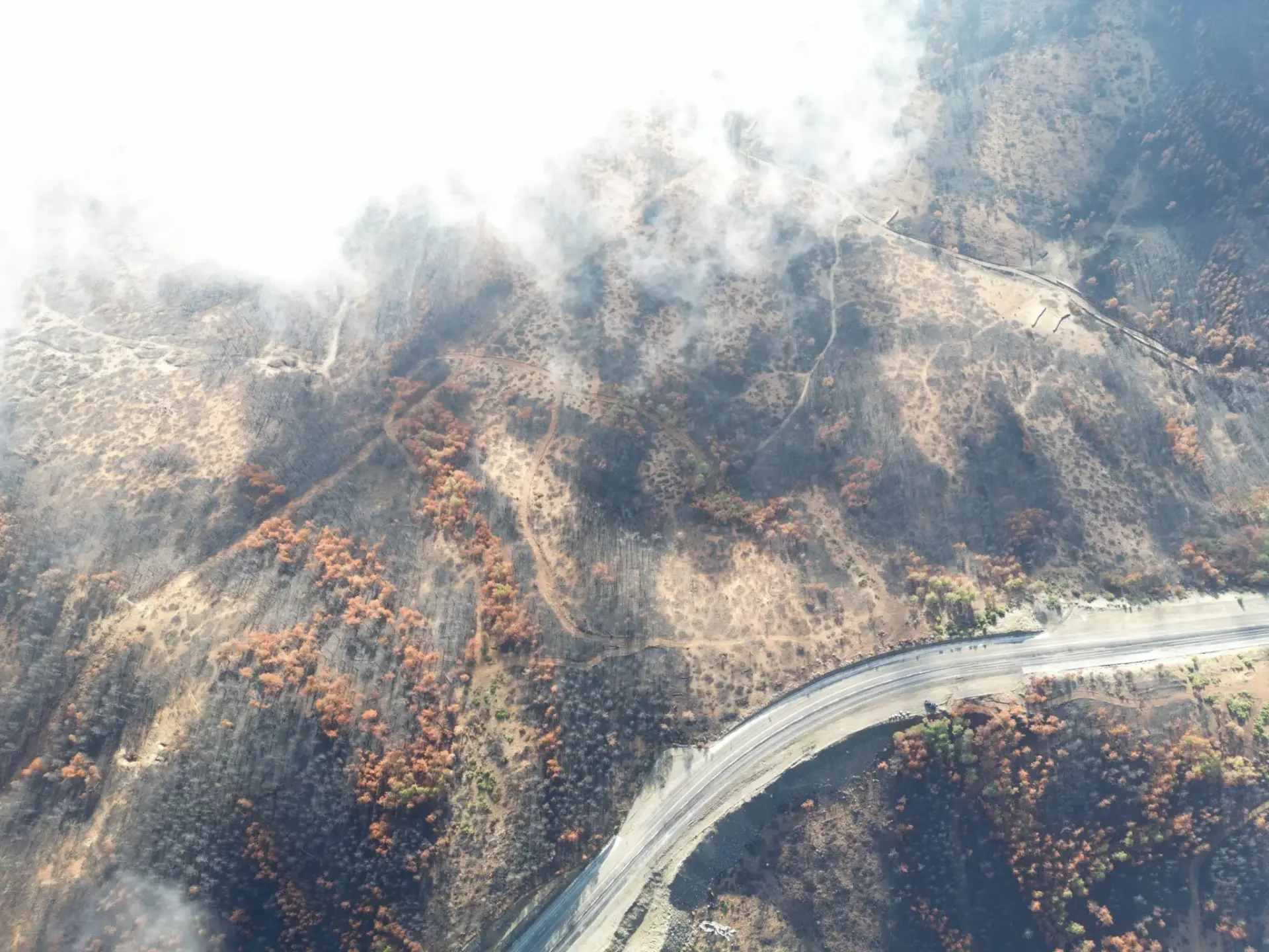 incendios-aragon-51-millones-azcon-portada incendios Aragón