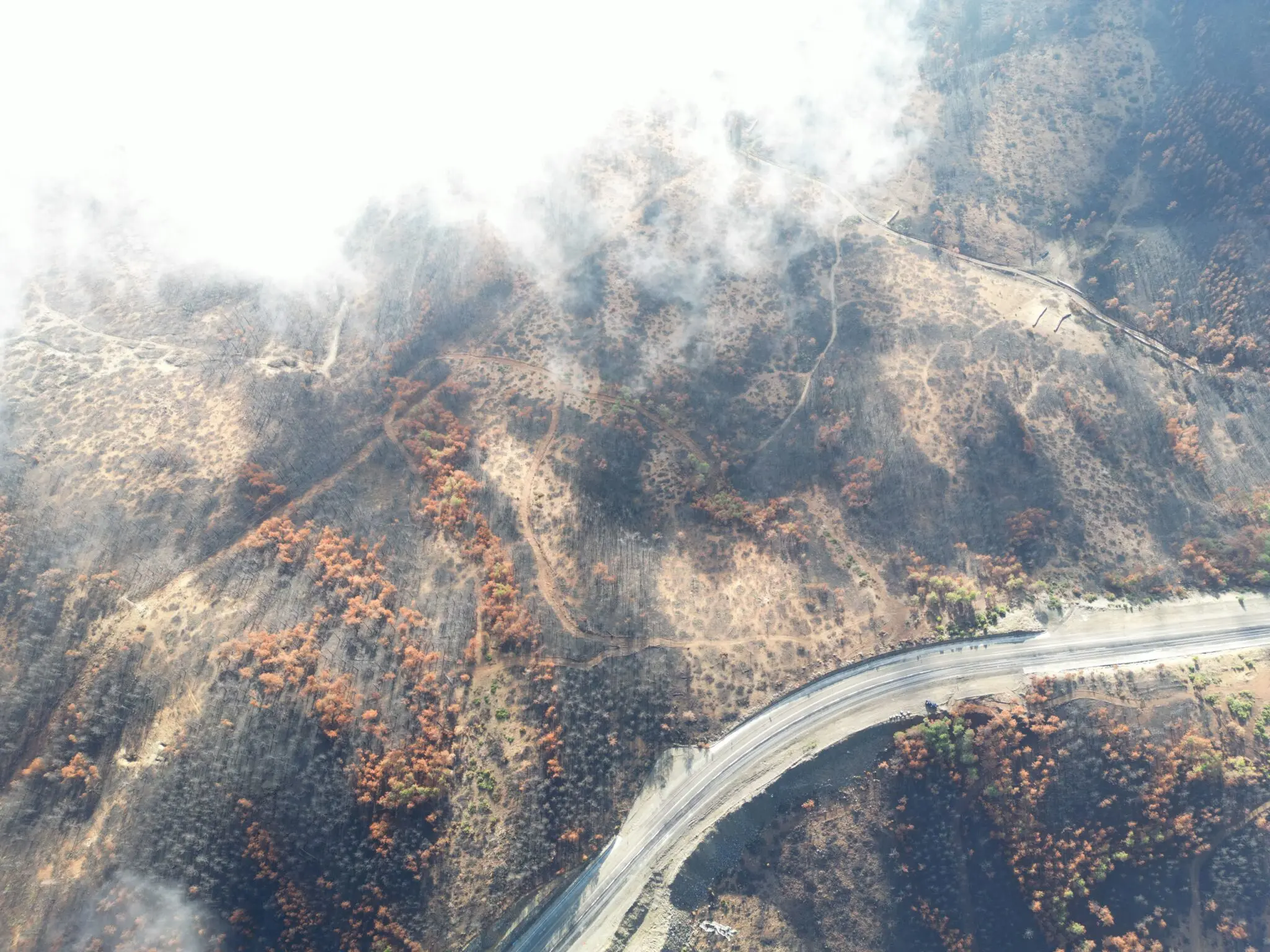 incendios-aragon-51-millones-azcon-portada incendios Aragón