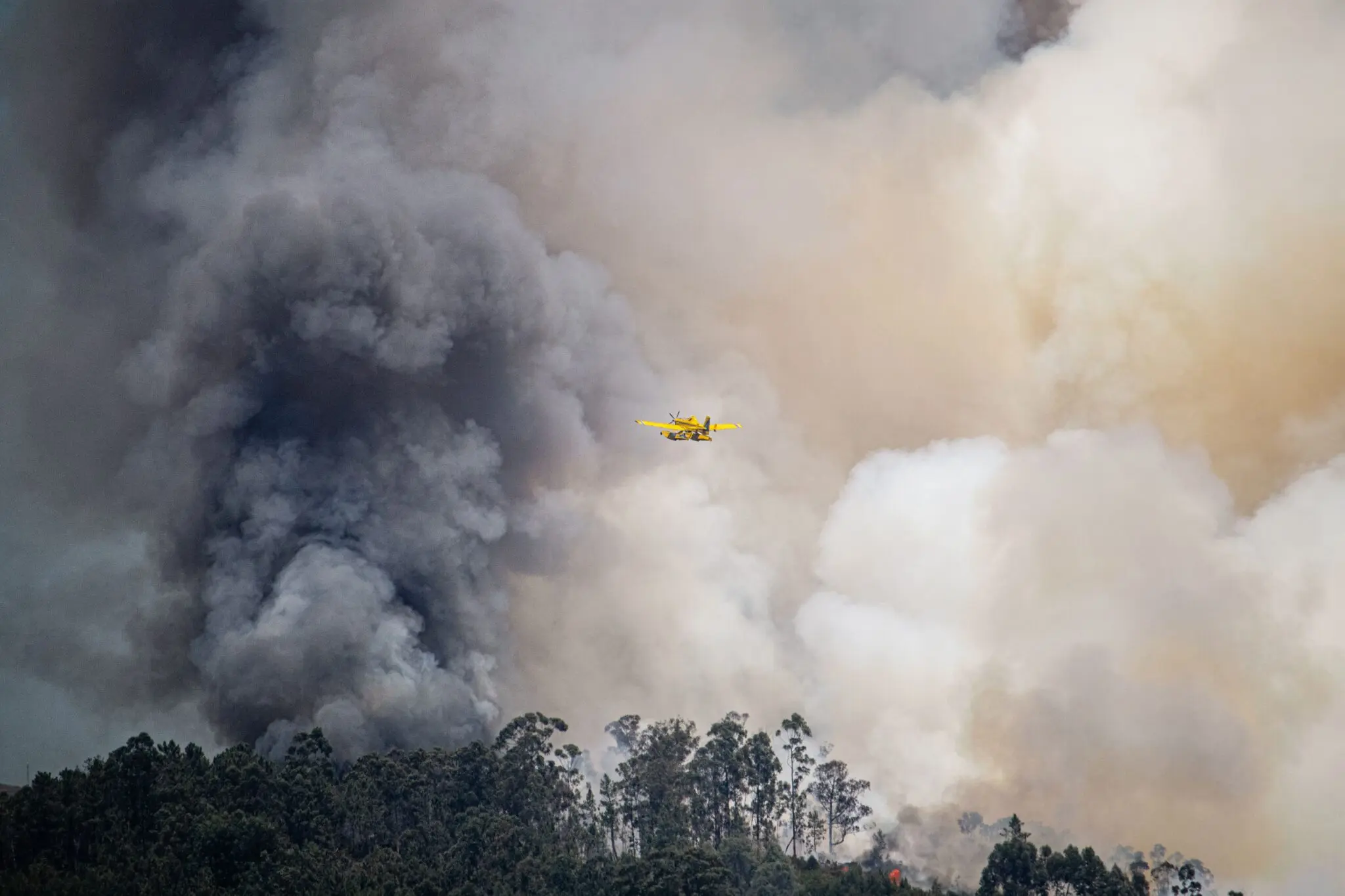 ley-incendios-galicia-xunta-prevencion-portada ley de incendios Galicia