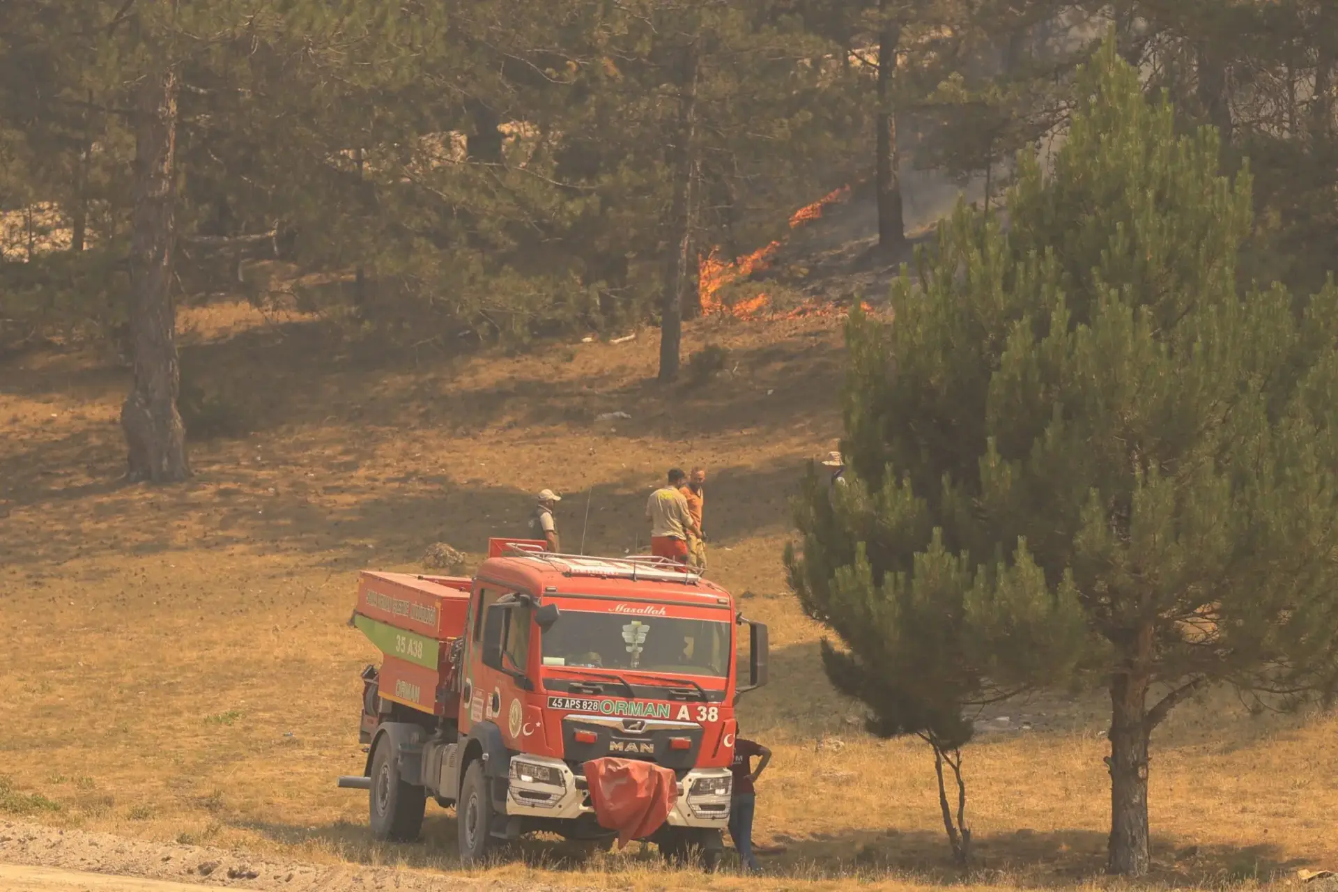 ley-incendios-xunta-prevencion-llcif-galicia-1 LLCIF Galicia