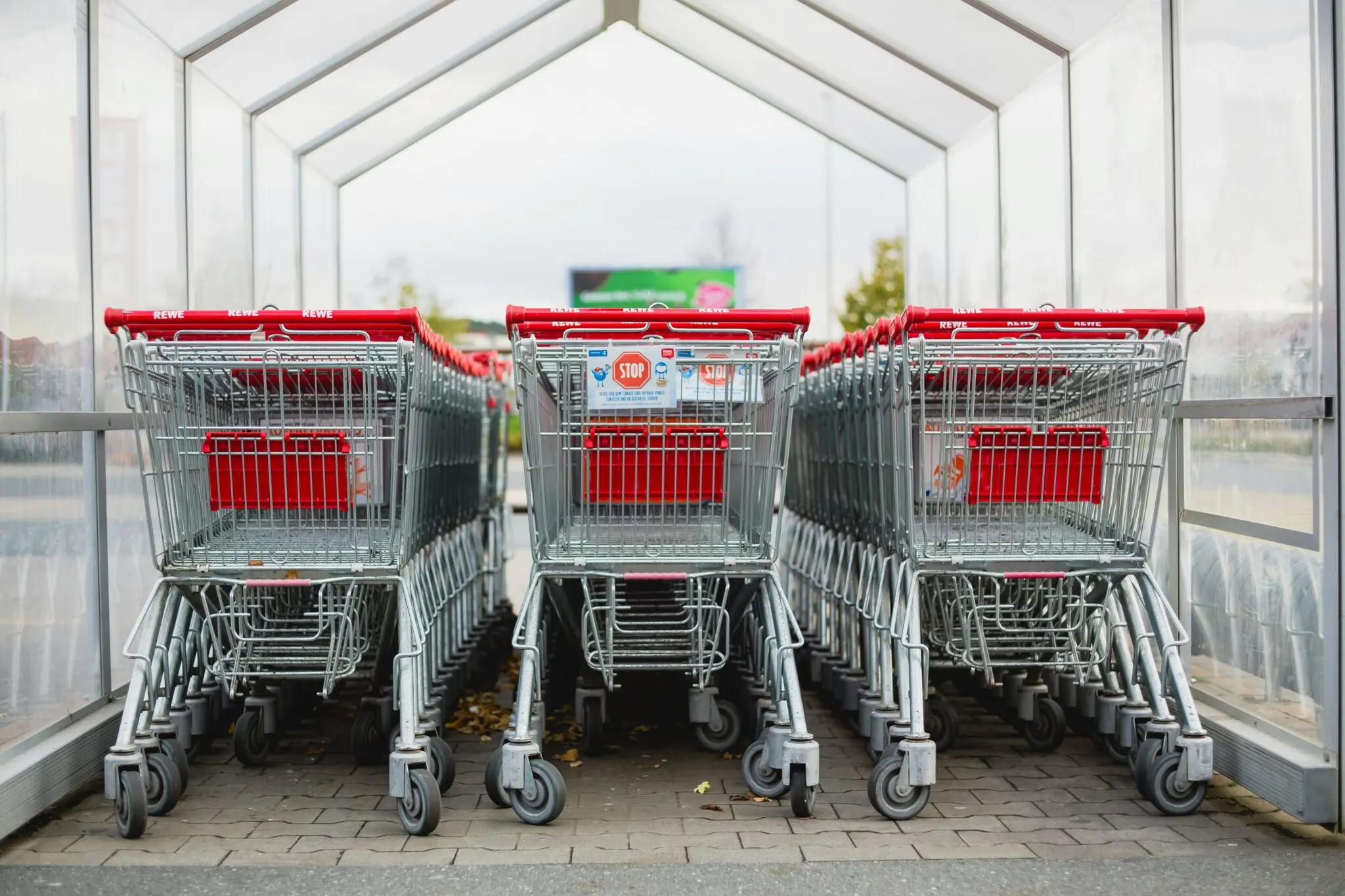 Lidl conquista a España: ya es el supermercado más barato en 60 localidades según la OCU 1 Moncloa Lidl más barato España