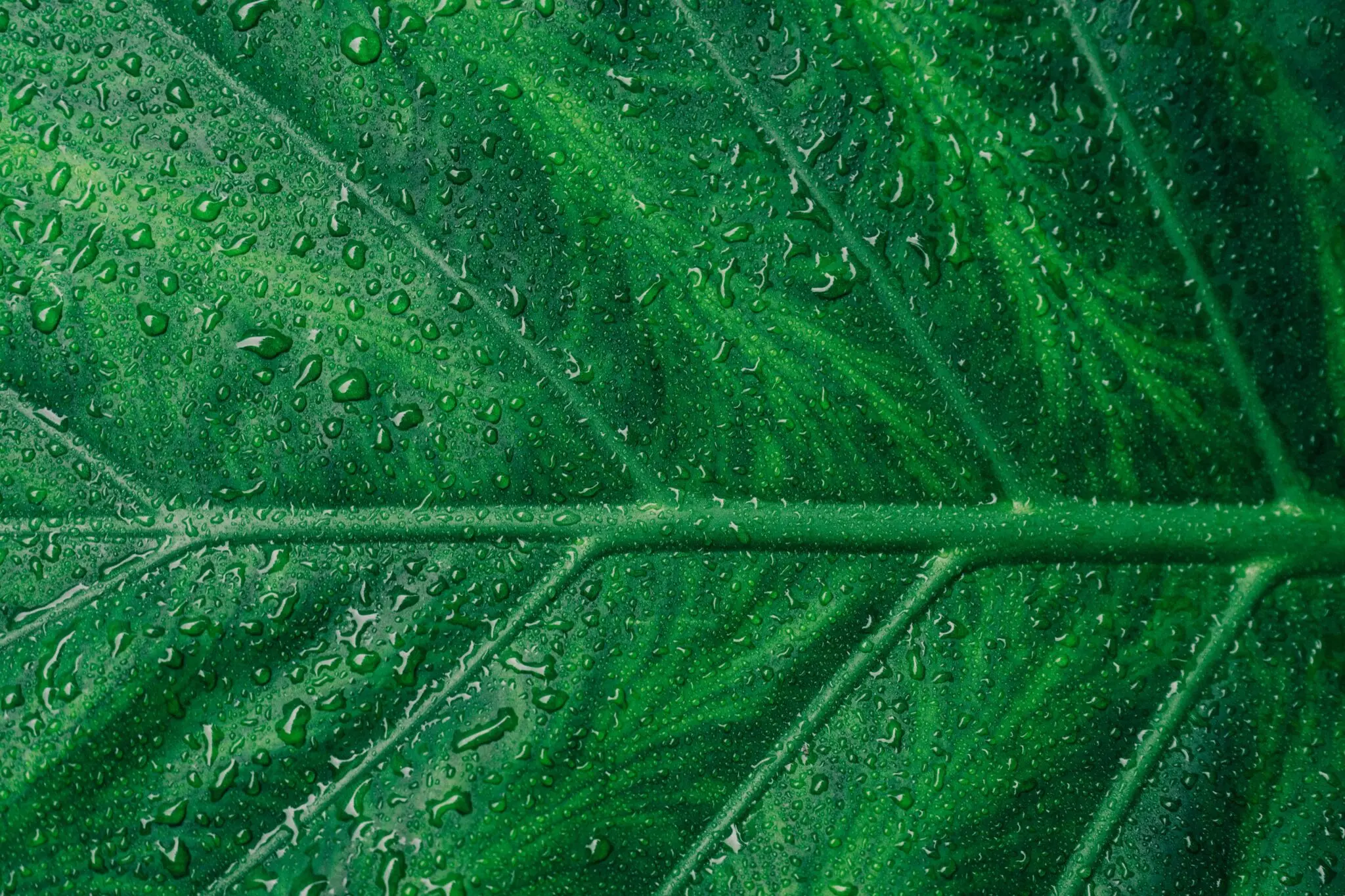 El programa verde de las Malvinas inyecta 892.000 libras en financiación verde en tres años 1 Moncloa programa Green Business