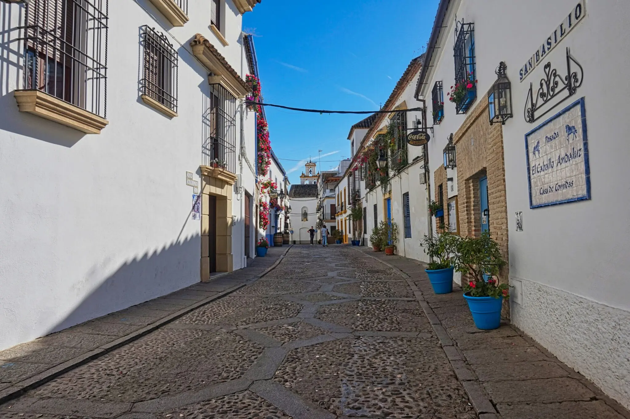 Manolete torero