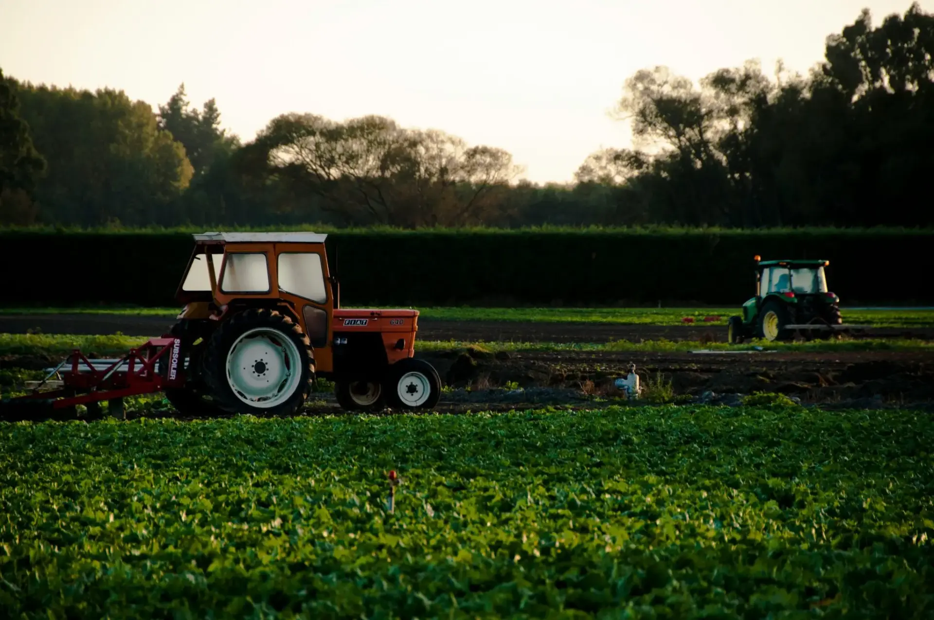 movilizaciones-agrarias-protestas-campo-portada movilizaciones agrarias