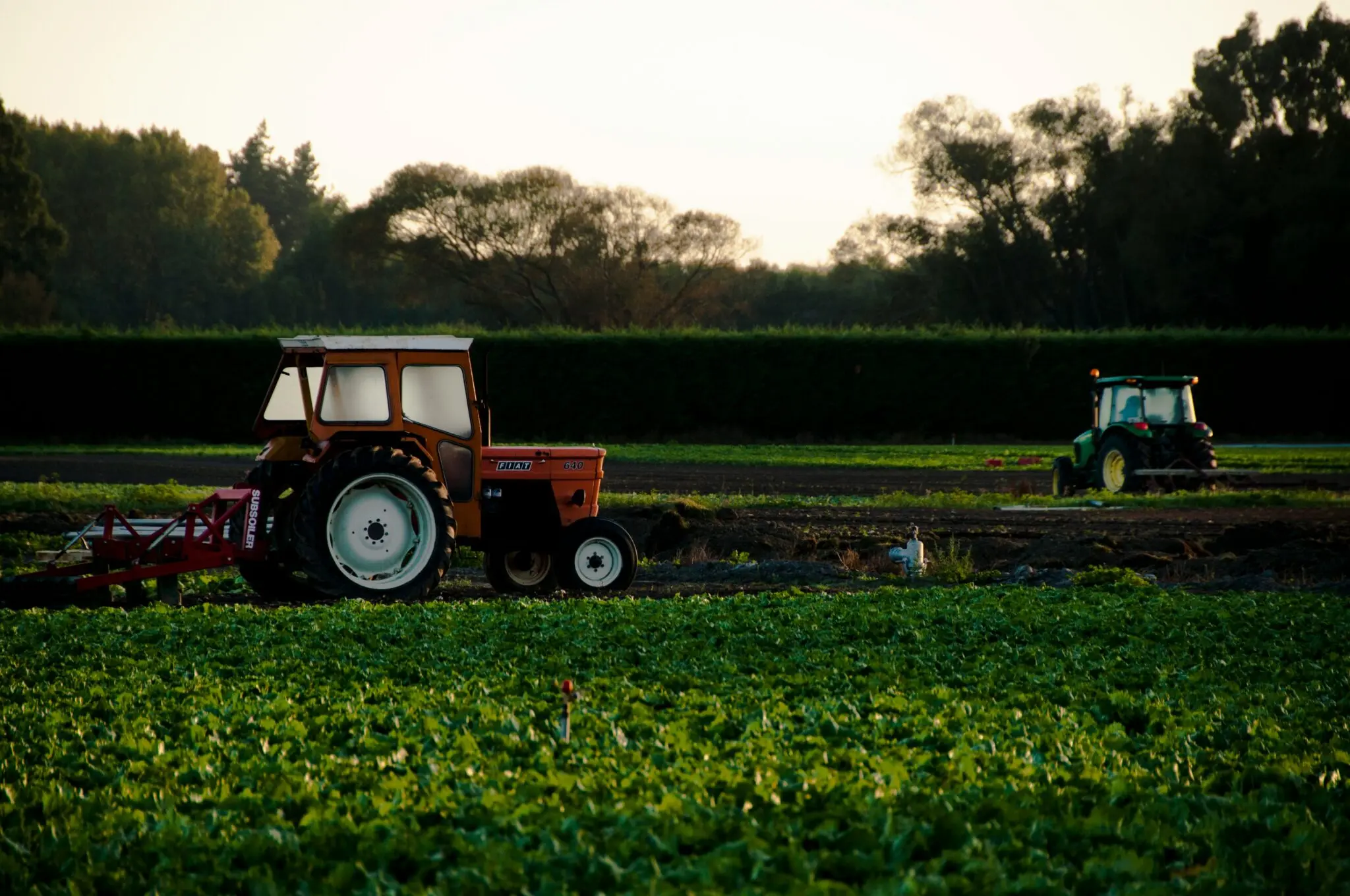 movilizaciones-agrarias-protestas-campo-portada movilizaciones agrarias