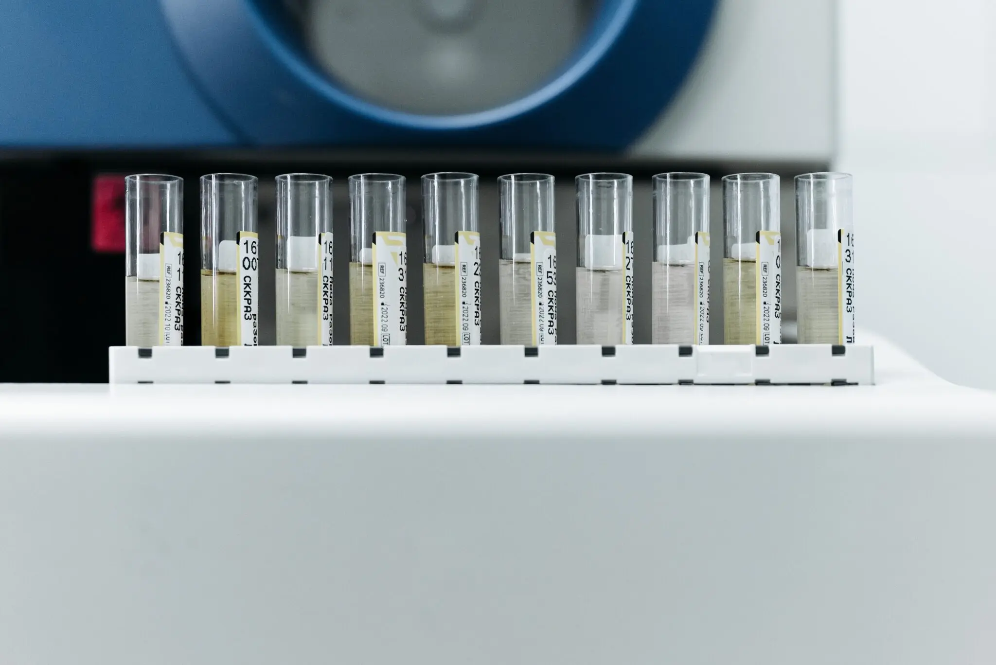 El SAS convoca oposiciones a jefaturas de servicio en Cádiz, Almería y Sevilla: listas definitivas de Bioquímica 1 Moncloa empleo público sanitario