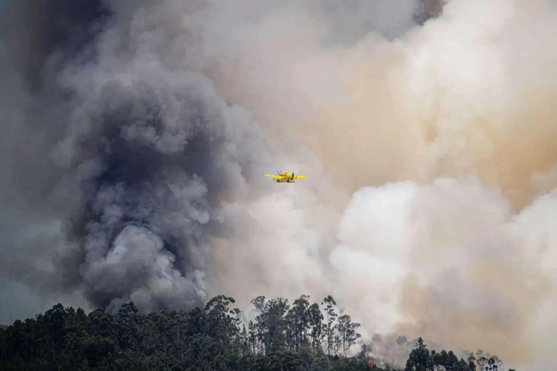reclamacion-xunta-naturgy-incendio-padro-portada reclamación Naturgy incendio