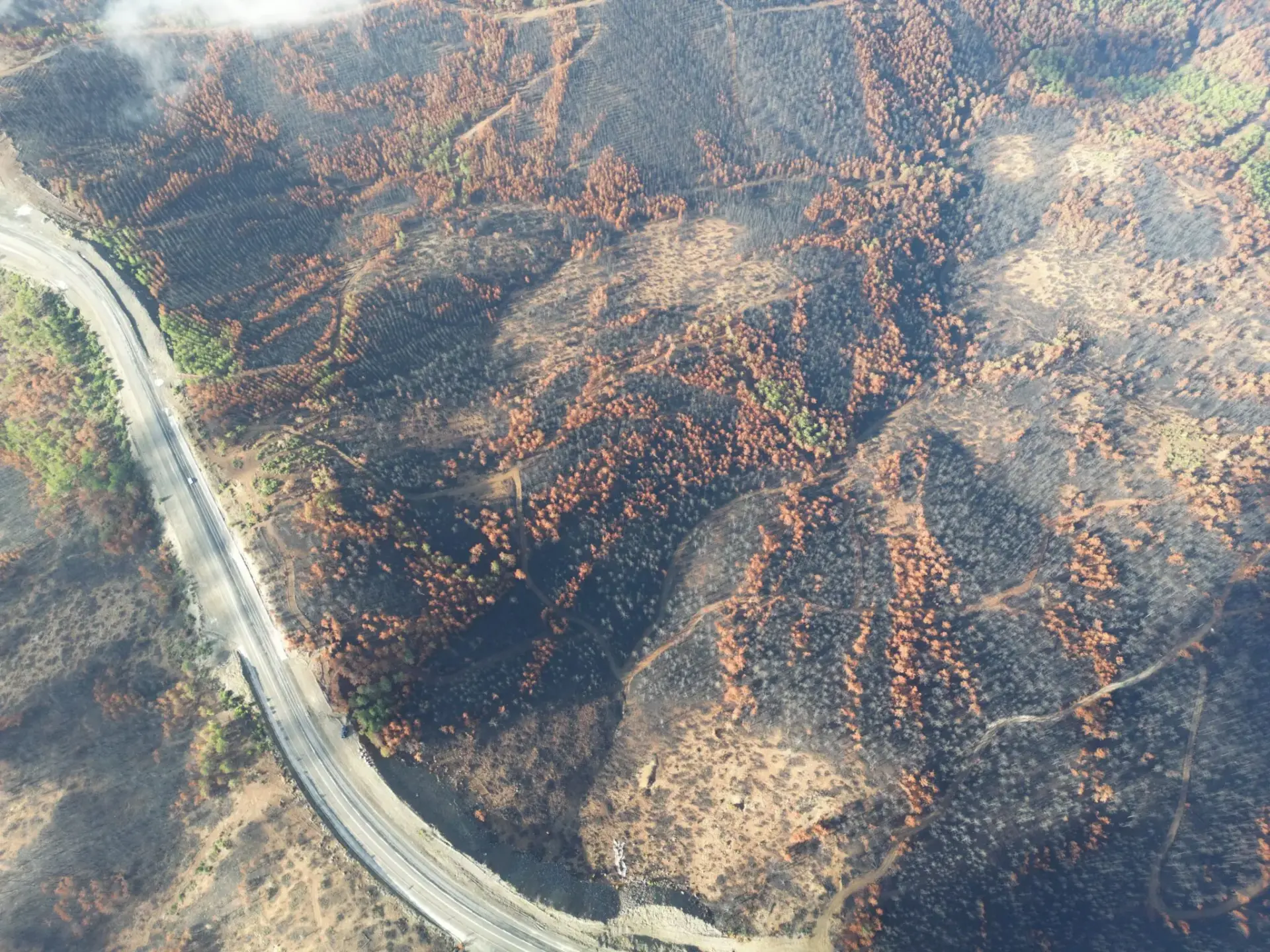 restauracion-cauces-andalucia-incendios-portada restauración cauces Andalucía