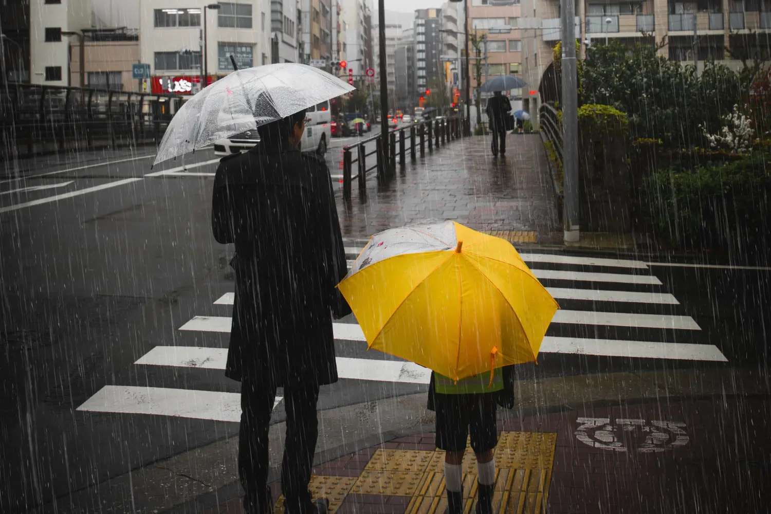 La alarmante alerta del modelo AROME tras acertar en Valencia: lluvias torrenciales de 250 litros en apenas 180 minutos La alarmante alerta del modelo AROME tras acertar en Valencia: lluvias torrenciales de 250 litros en apenas 180 minutos