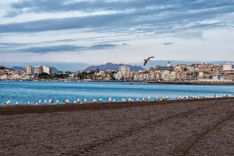 El águila imperial ibérica da el primer paso para criar en Almería y Andalucía alcanza las 191 parejas
