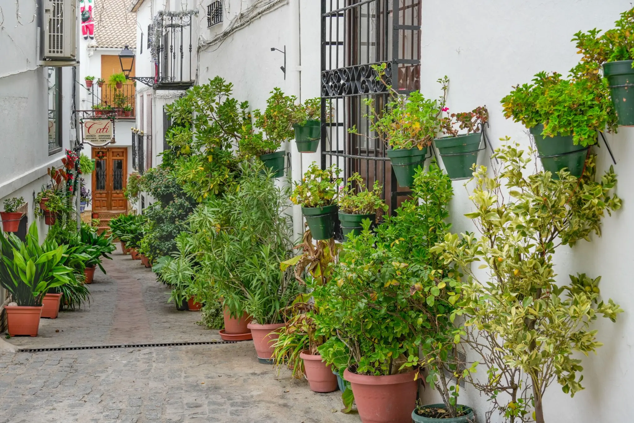 Córdoba podría perder 1.128 viviendas de alquiler en 2026: la mayor caída porcentual de Andalucía 1 Moncloa vivienda en alquiler Andalucía