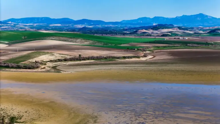 La ayuda de 120 €/ha al arroz andaluz ya está sobre la mesa del MAPA: las claves de la reserva de crisis