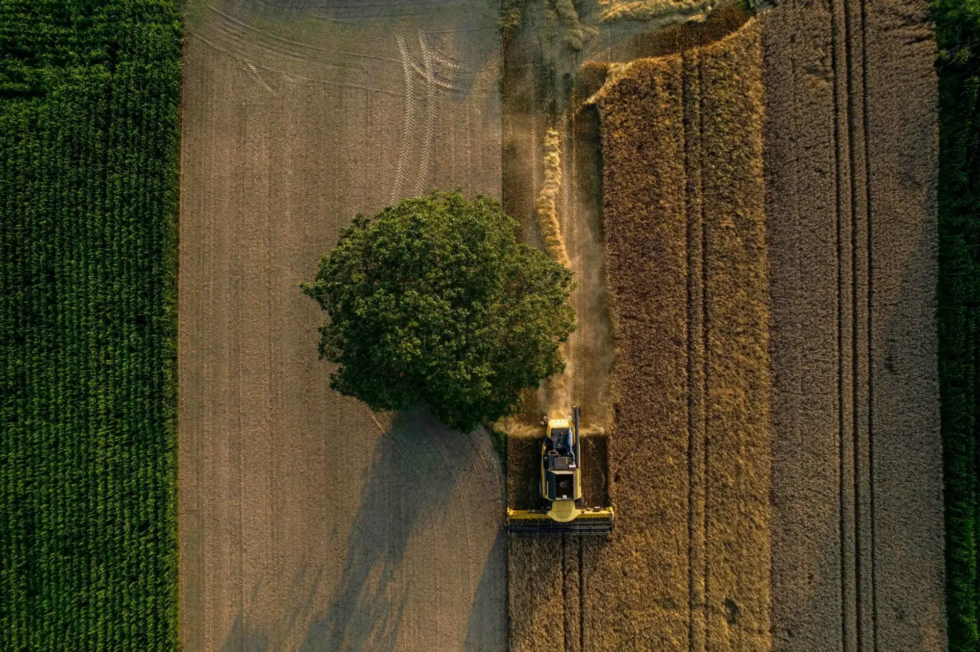 ayudas-gasoleo-agricola-52-millones-brus-portada ayudas gasóleo agrícola