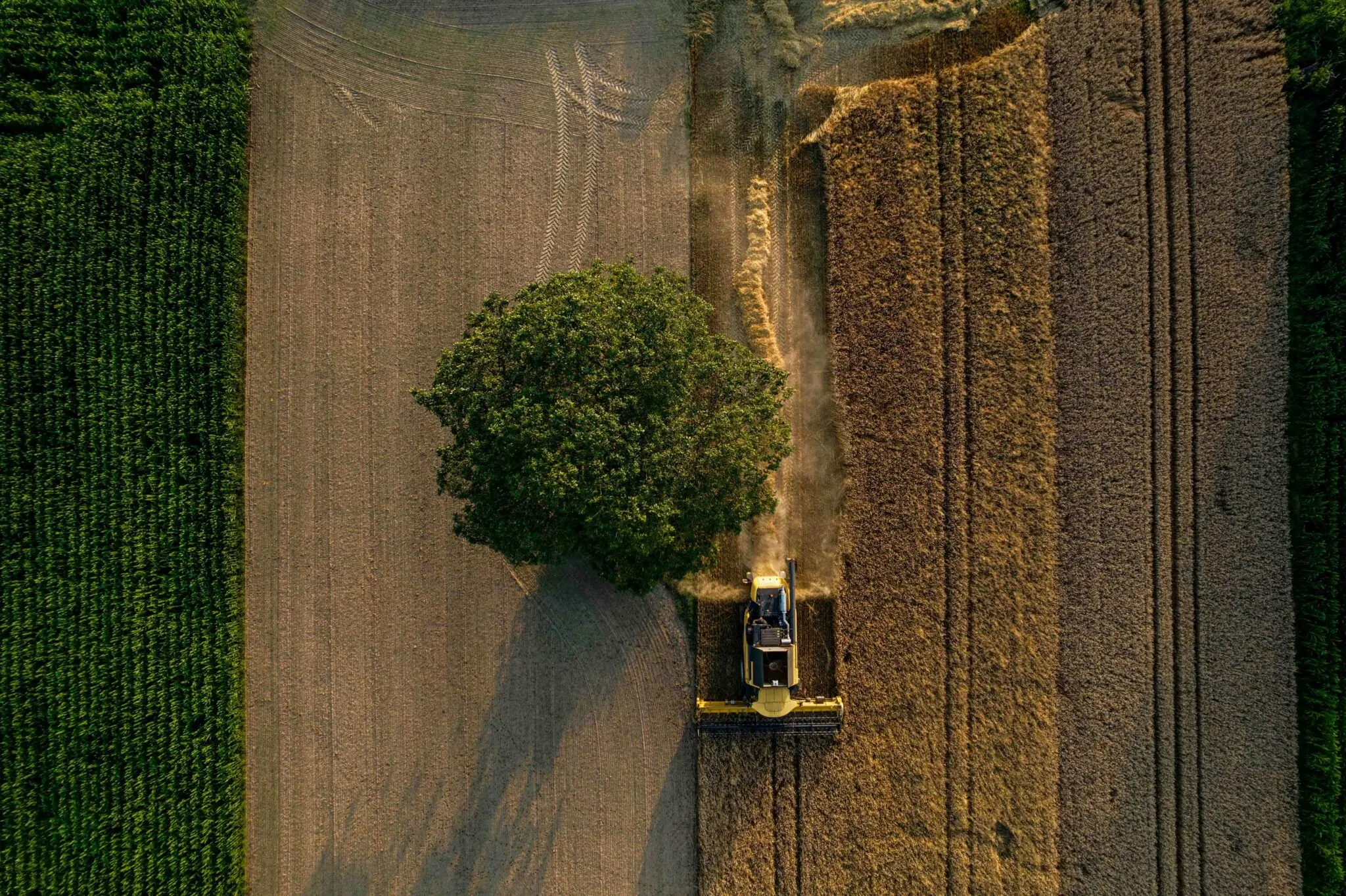 ayudas-gasoleo-agricola-52-millones-brus-portada ayudas gasóleo agrícola