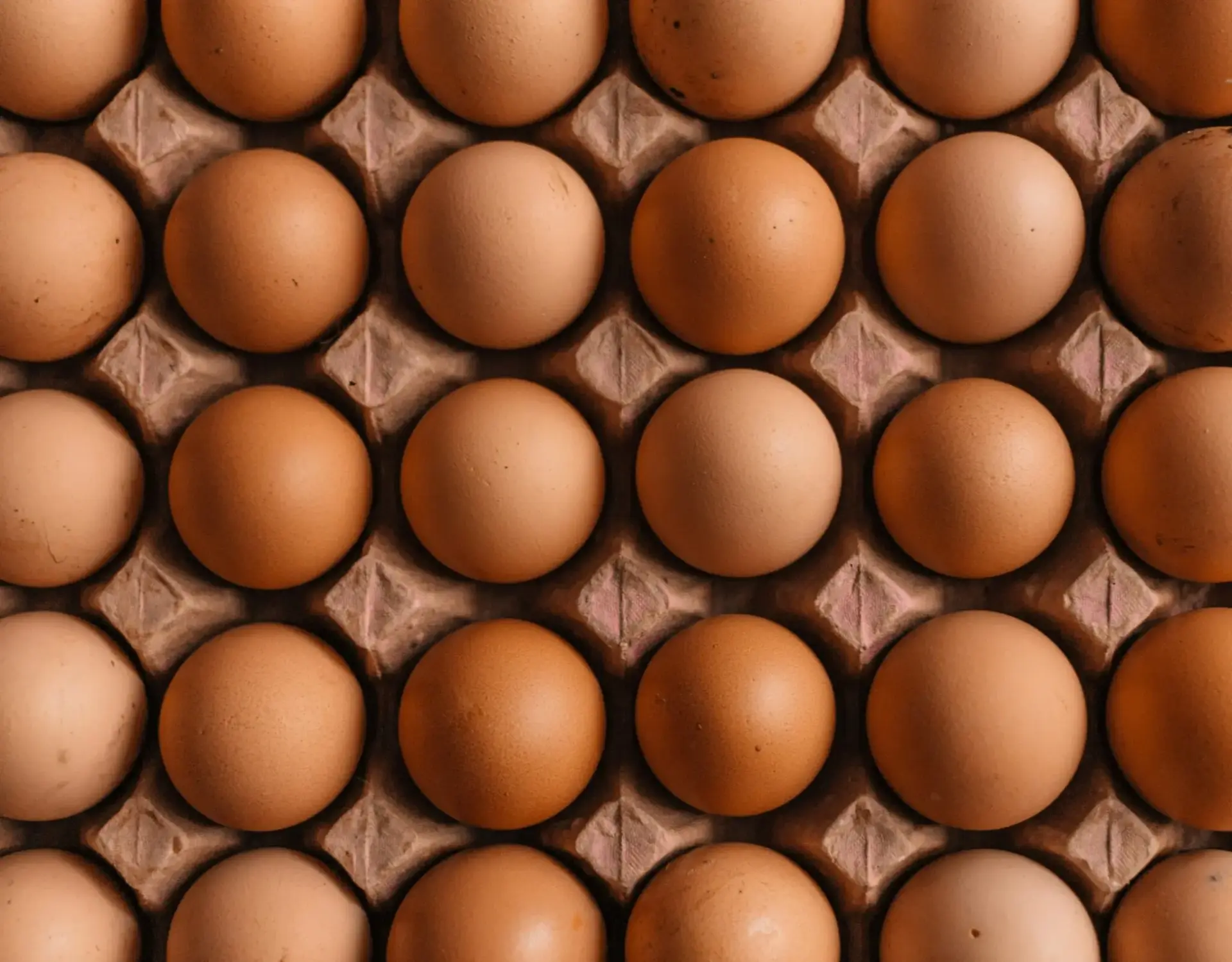 brote-salmonela-vitoria-huevos-portada brote salmonela Vitoria