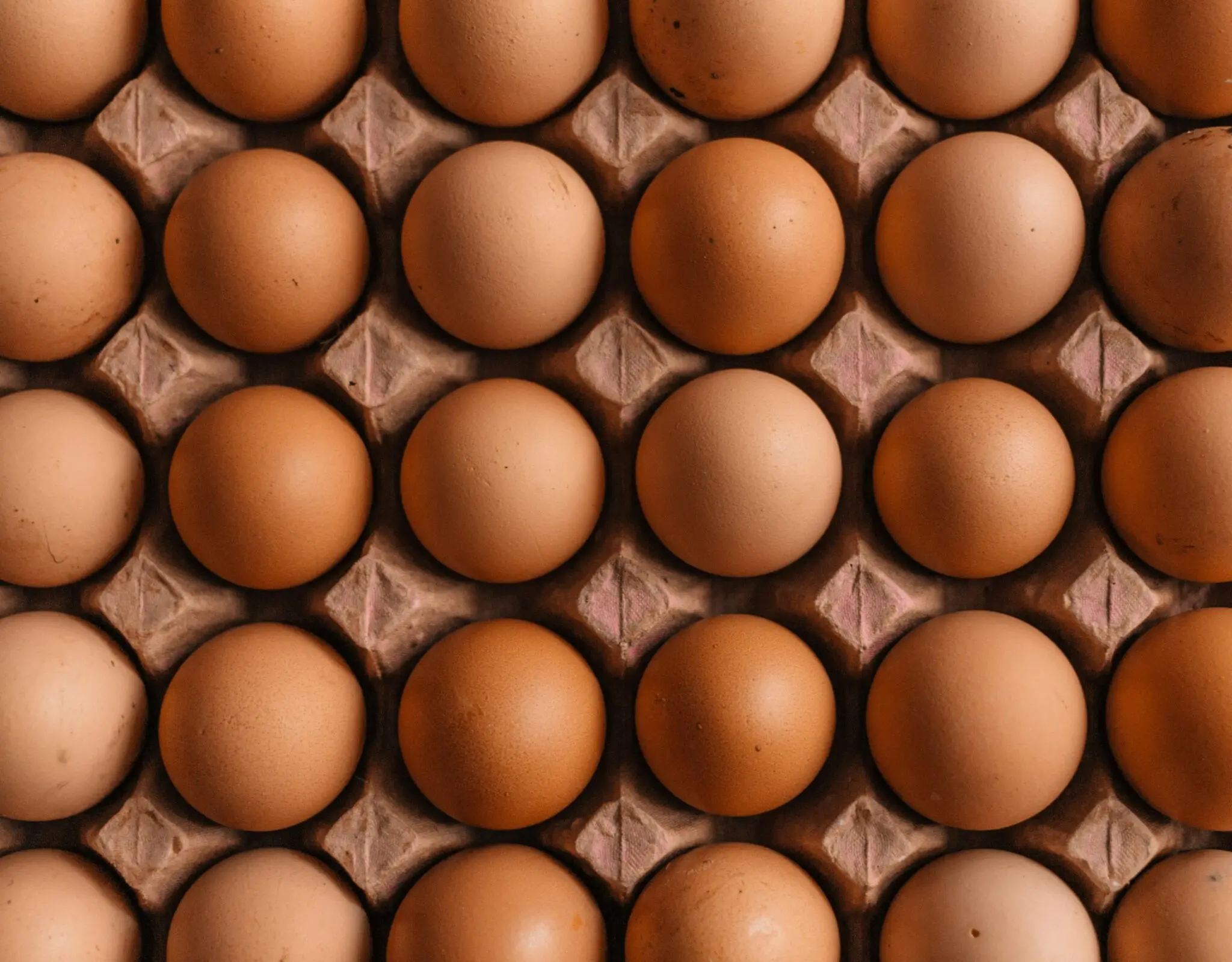 brote-salmonela-vitoria-huevos-portada brote salmonela Vitoria