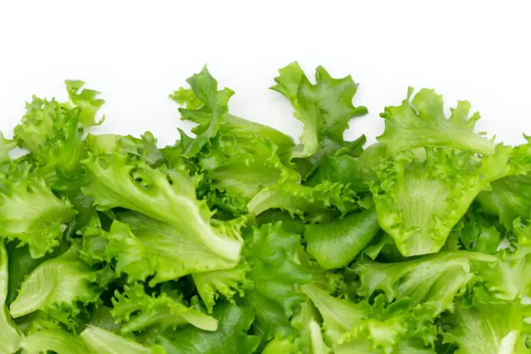El truco de un chef para conservar la lechuga fresca y crujiente más de 60 días