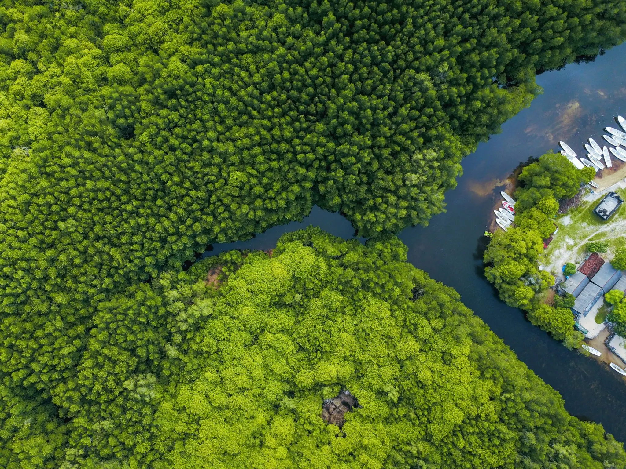 La COP17 de biodiversidad arranca en Armenia con la brecha de financiación como prueba de fuego de la meta 2030 1 Moncloa financiación biodiversidad