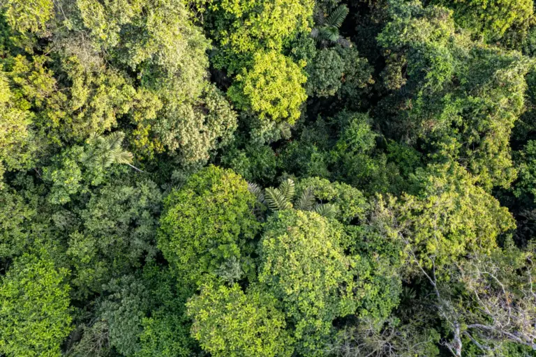 La COP17 de Biodiversidad revisa en Ereván el objetivo 30×30 con solo el 17% de tierra protegida