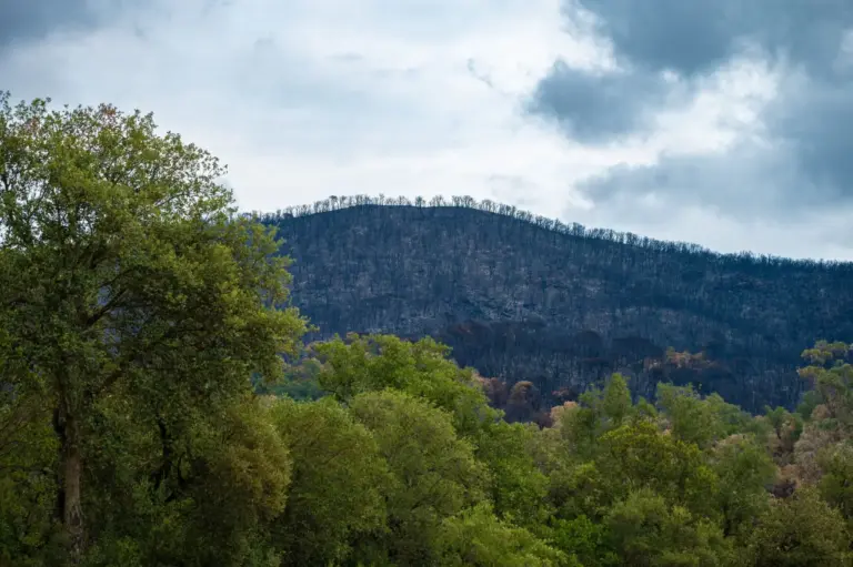 erosión Serra d'Espadà