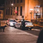 Europol y el DOJ desmantelan el grupo KillSec: su líder, de 16 años, y 110 TB bloqueados